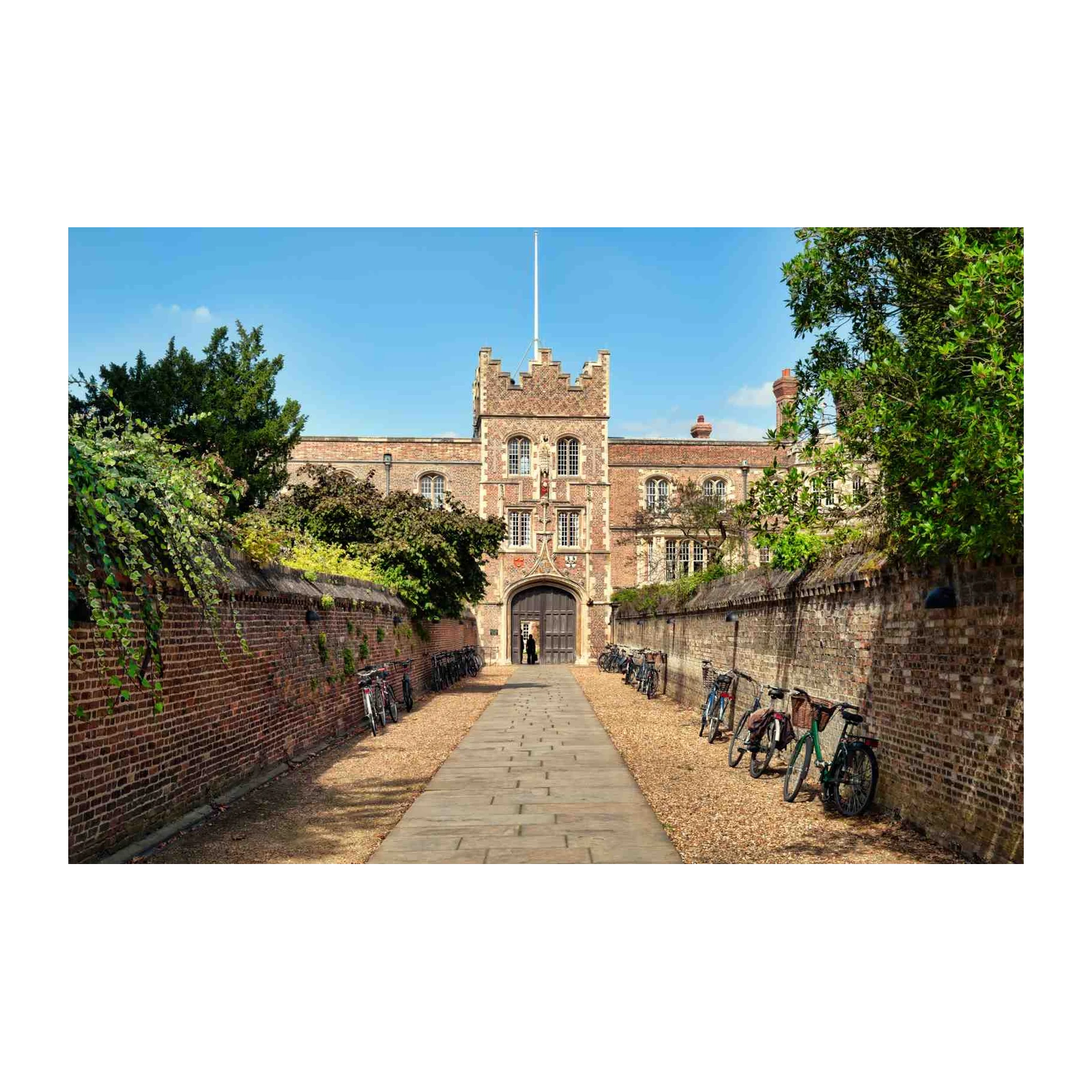Historic Cambridge College Pathway Wall Art