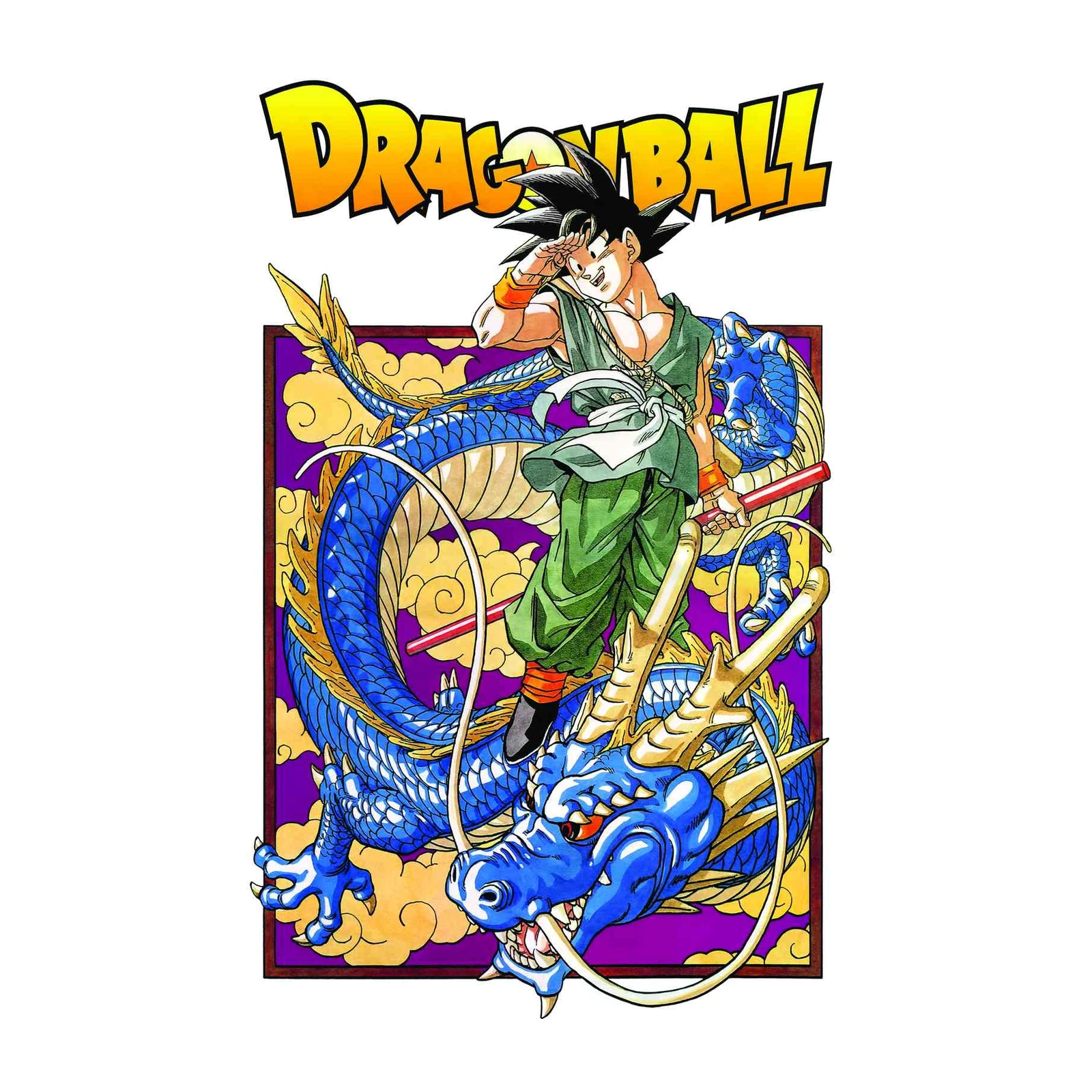 Goku & Dragon Anime Wall Art