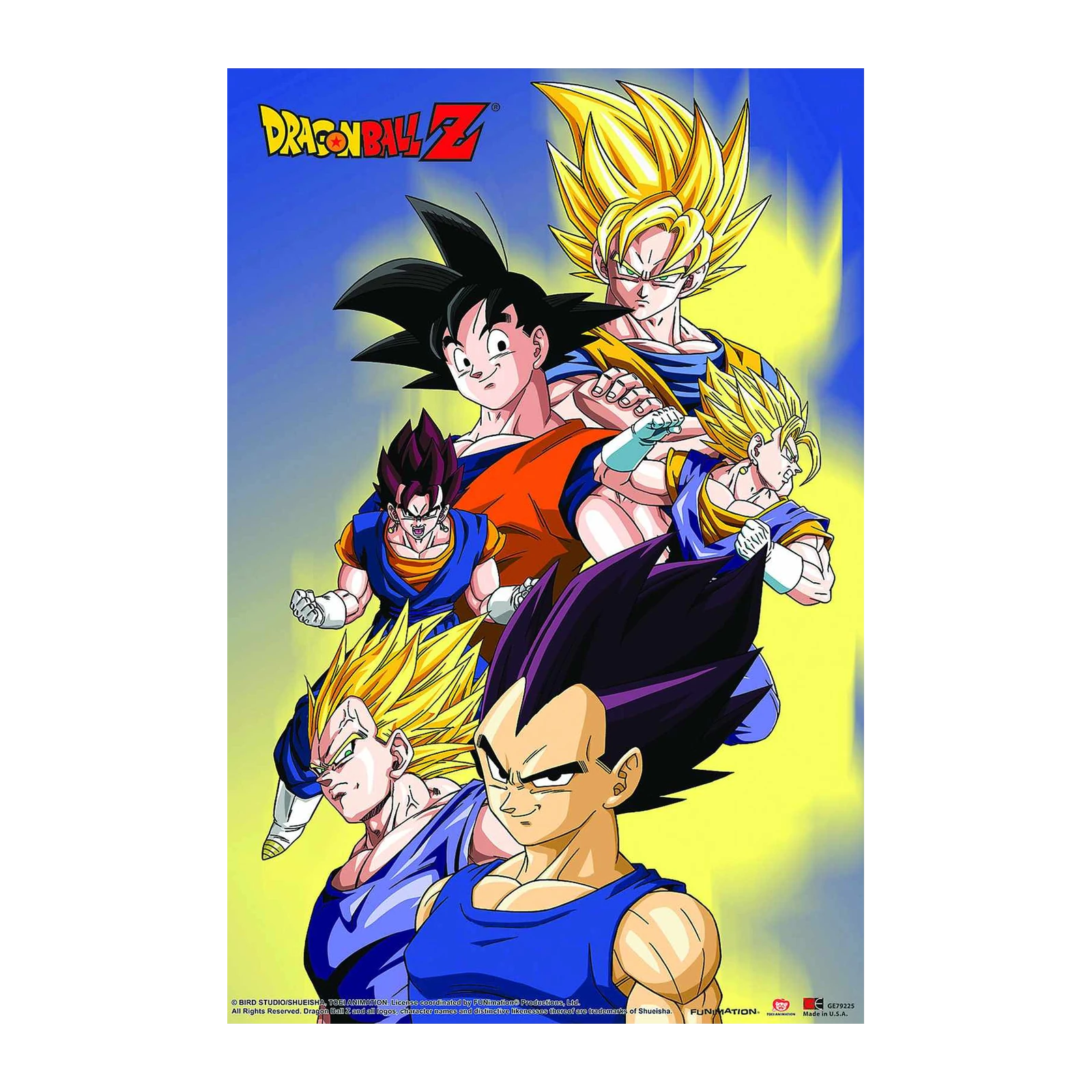 Dragon Ball Z Heroes Assemble Wall Art