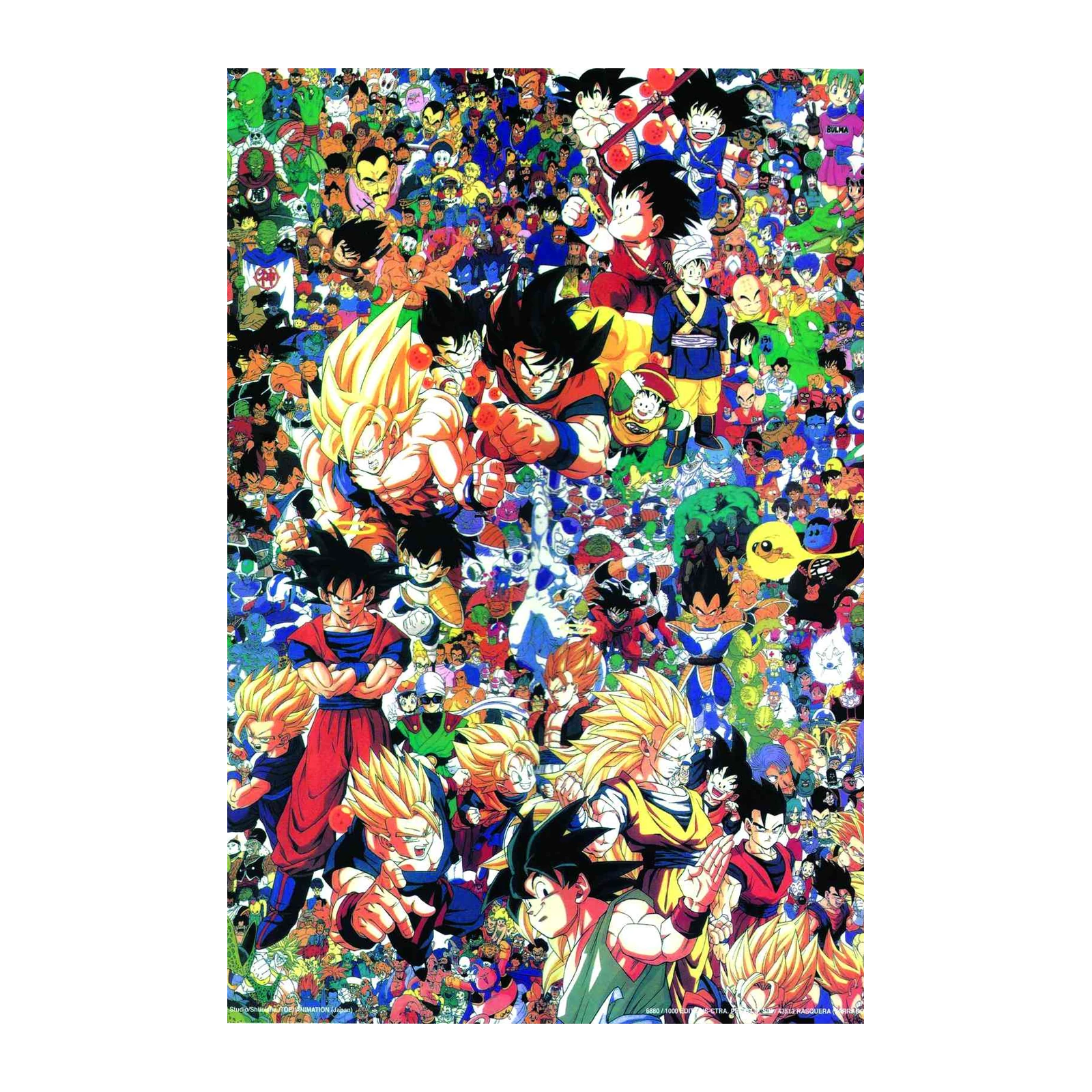 Epic Dragon Ball Z Character Collage Wall Art