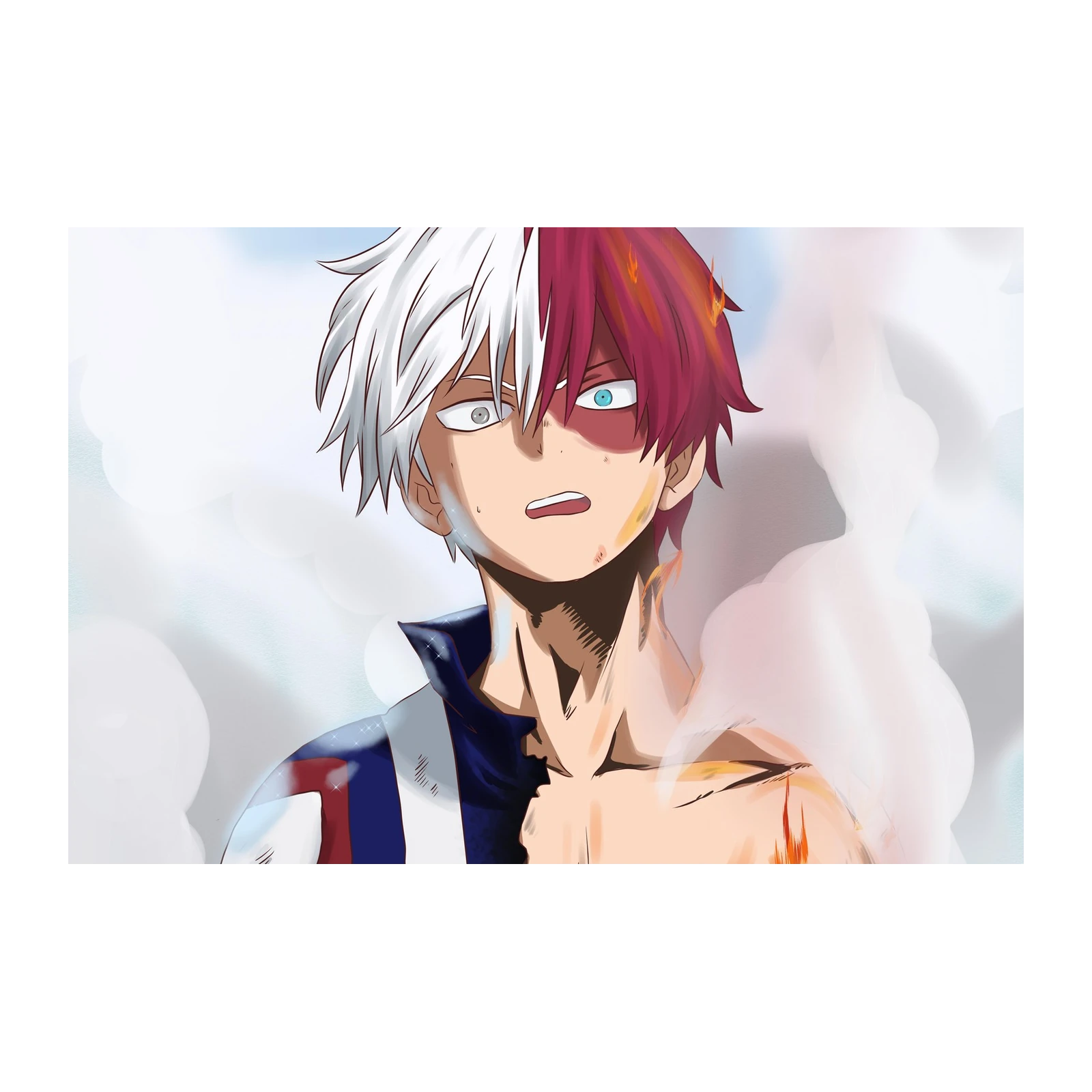 Todoroki Fire & Ice Anime Wall Art