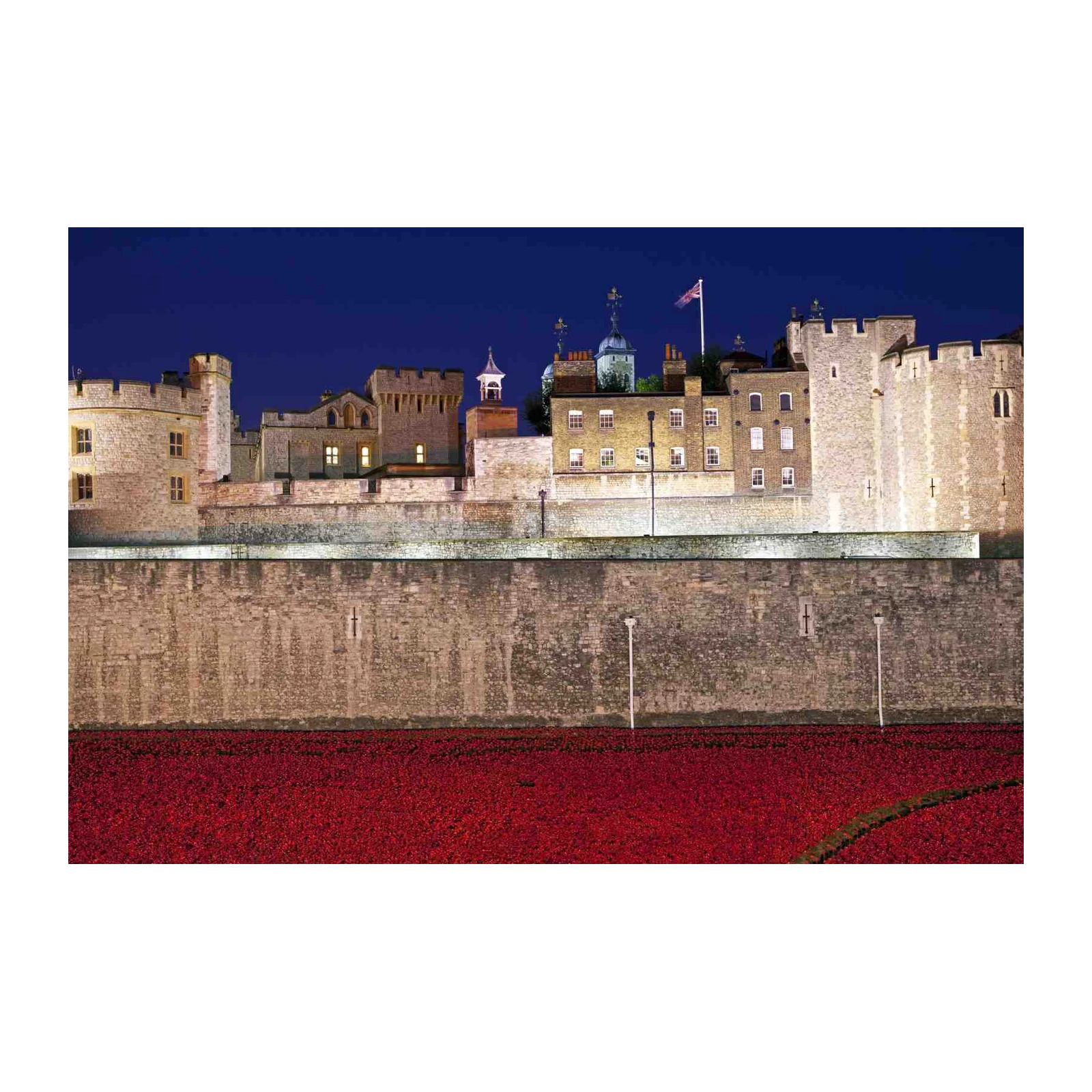 Tower of London Poppies Wall Art
