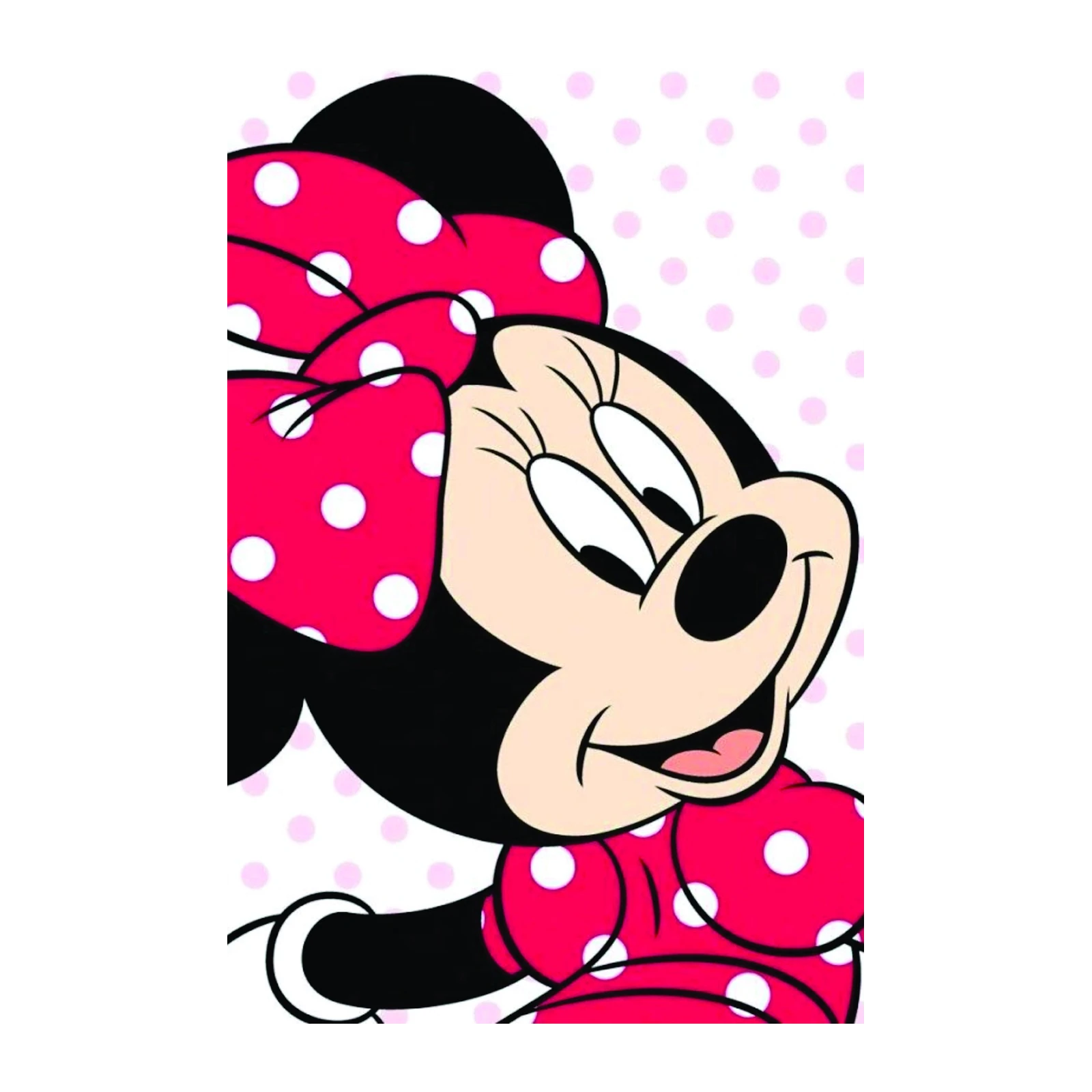Minnie Mouse Pink Polka Dot Wall Art