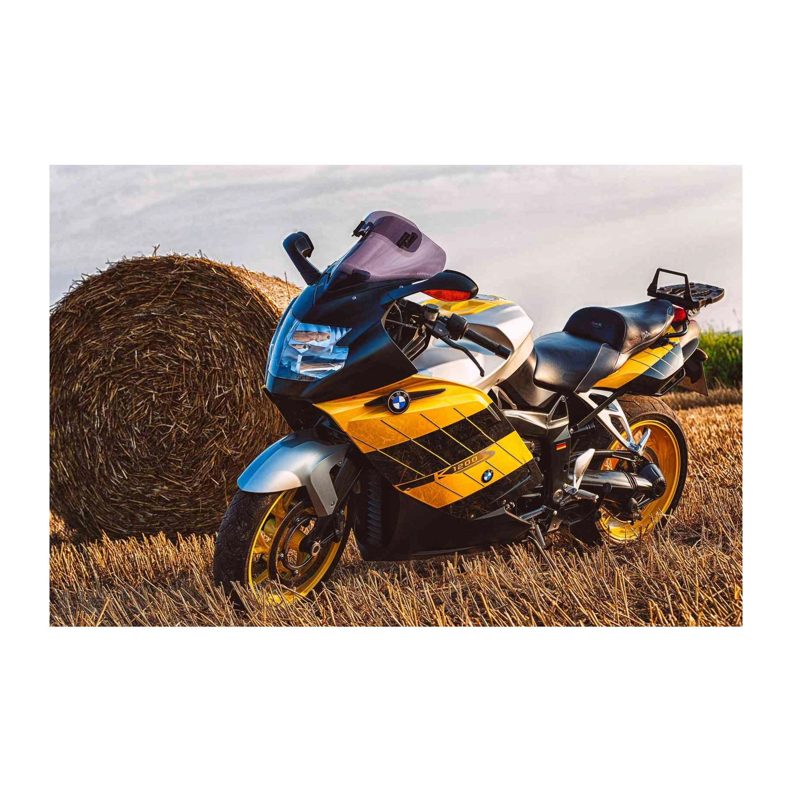 BMW Motorcycle Speed & Style Wall Art