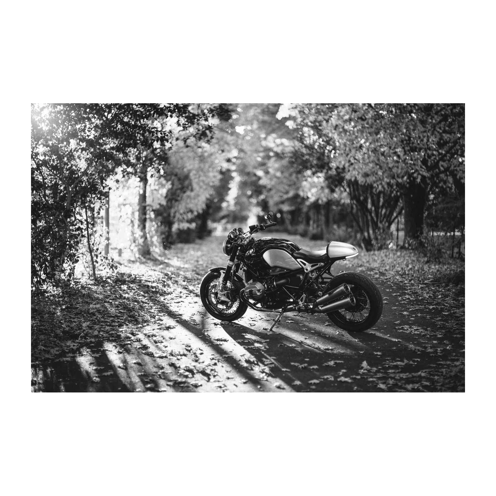 Retro Motorcycle in Autumn Alley Wall Art