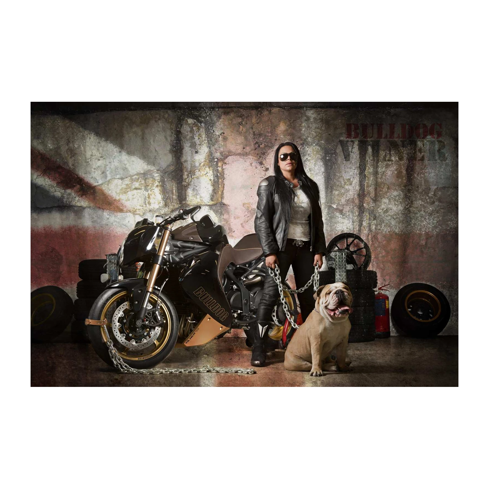 Bulldog Rider & Bike Wall Art