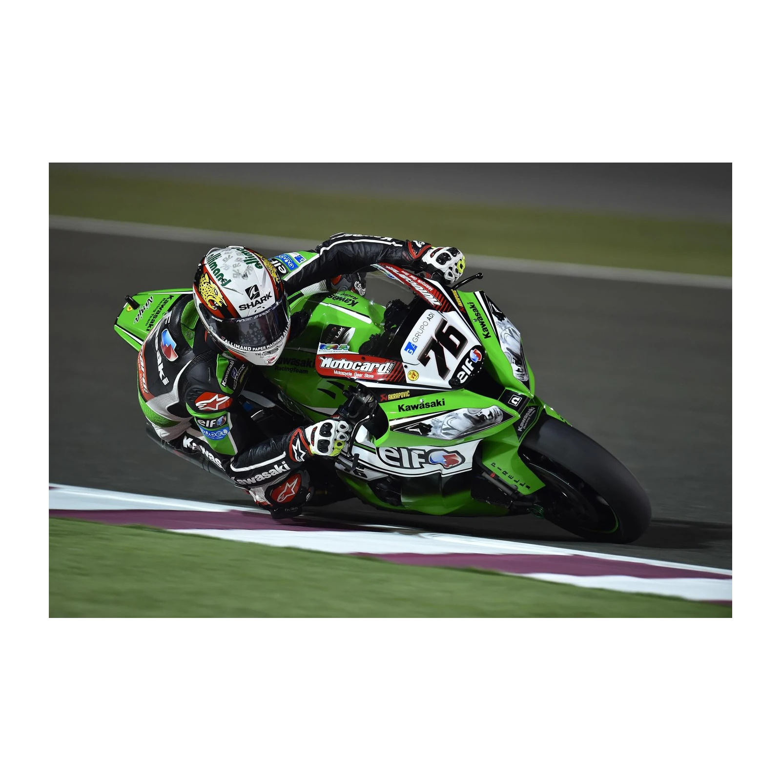 Kawasaki Racing Speed Demon Wall Art