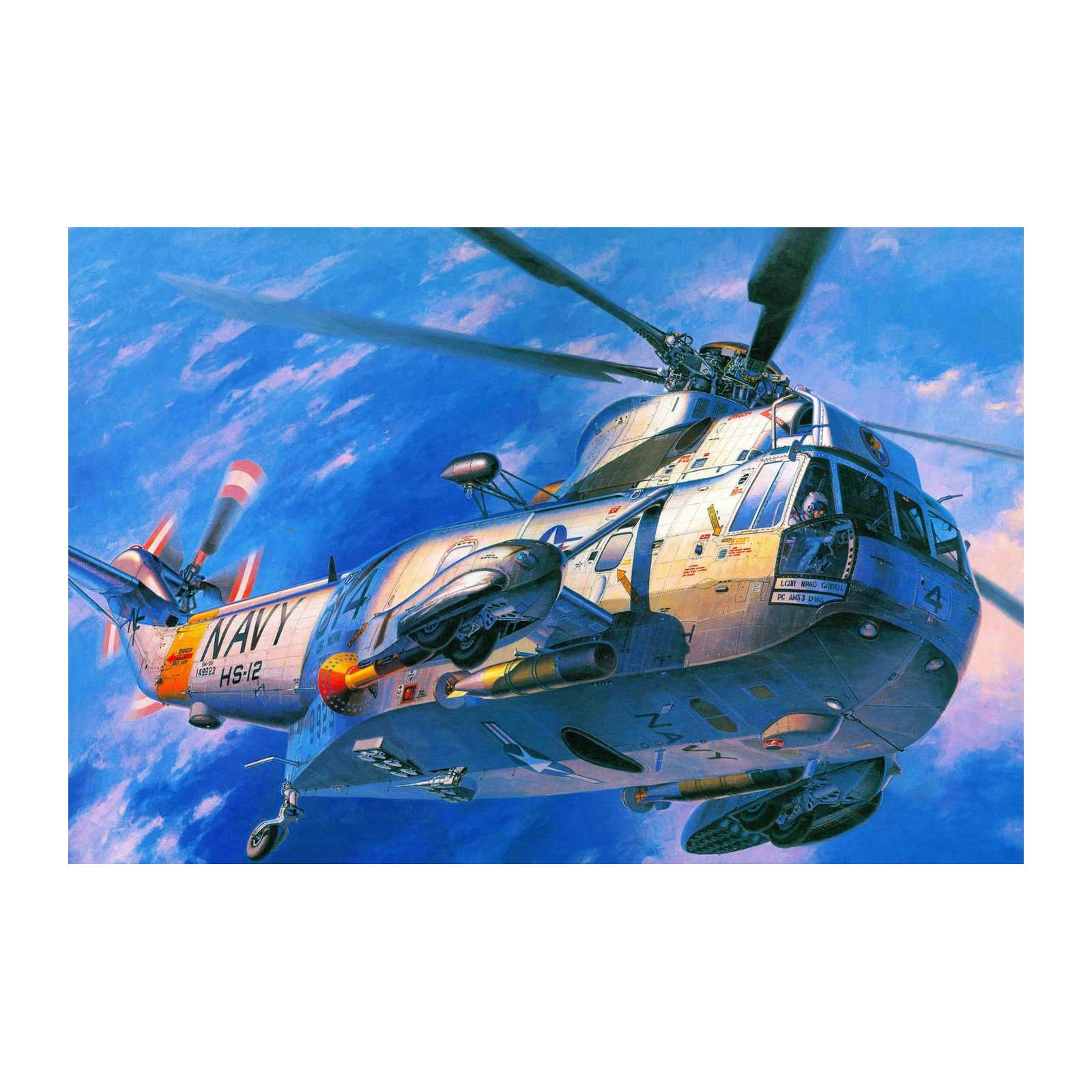 US Navy Helicopter Flight Wall Art