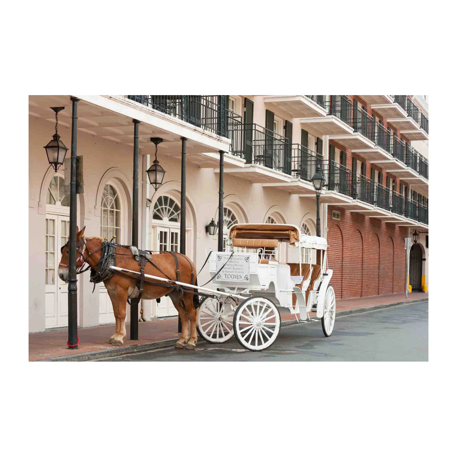 New Orleans Horse Carriage Vintage Wall Art