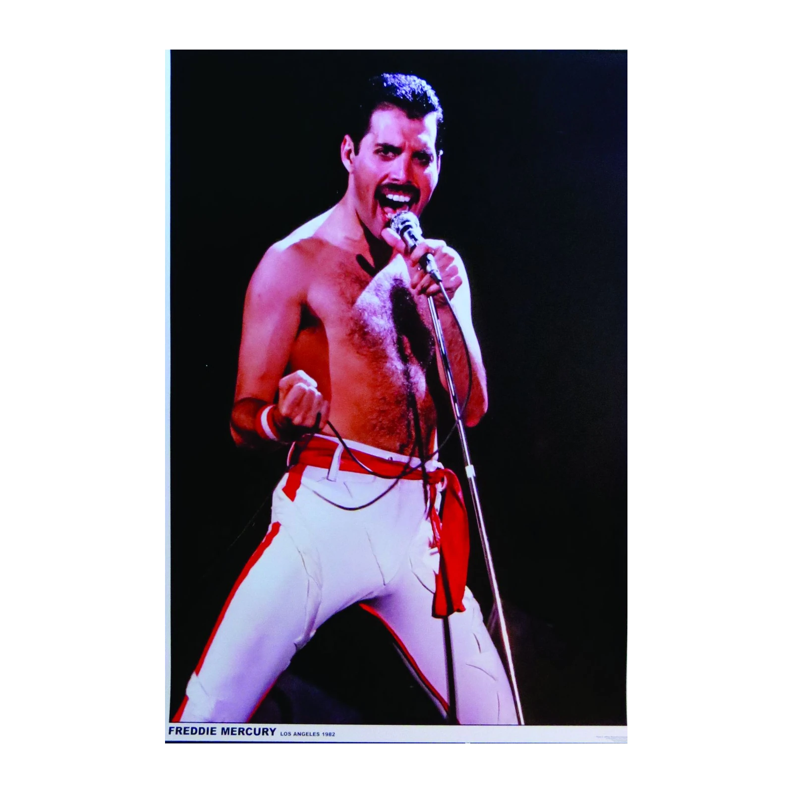 Iconic Freddie Mercury Live Performance Wall Art