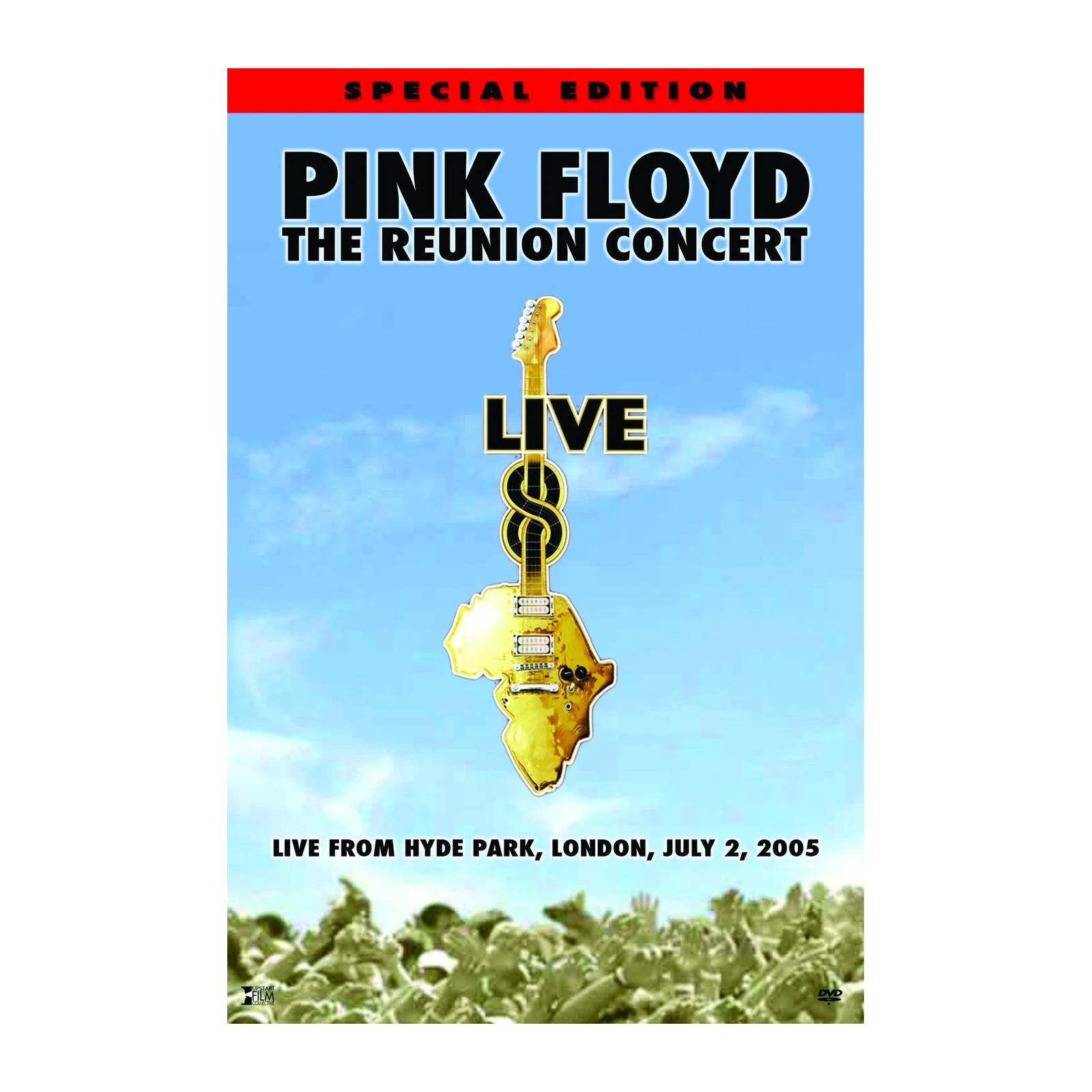 Pink Floyd Reunion Concert Africa Guitar Wall Art