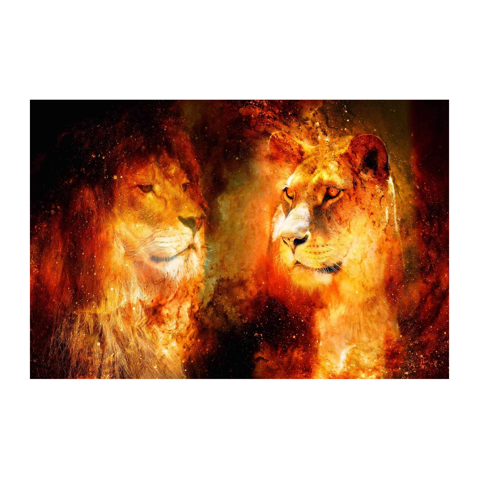 Fiery Lion King & Queen Wall Art