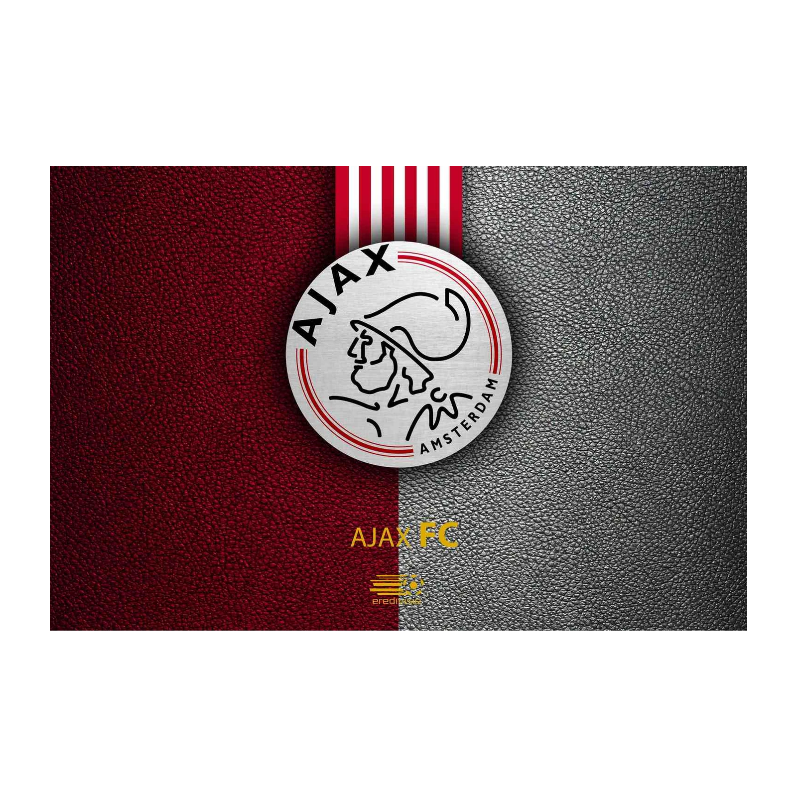 Ajax Amsterdam Football Club Logo Wall Art
