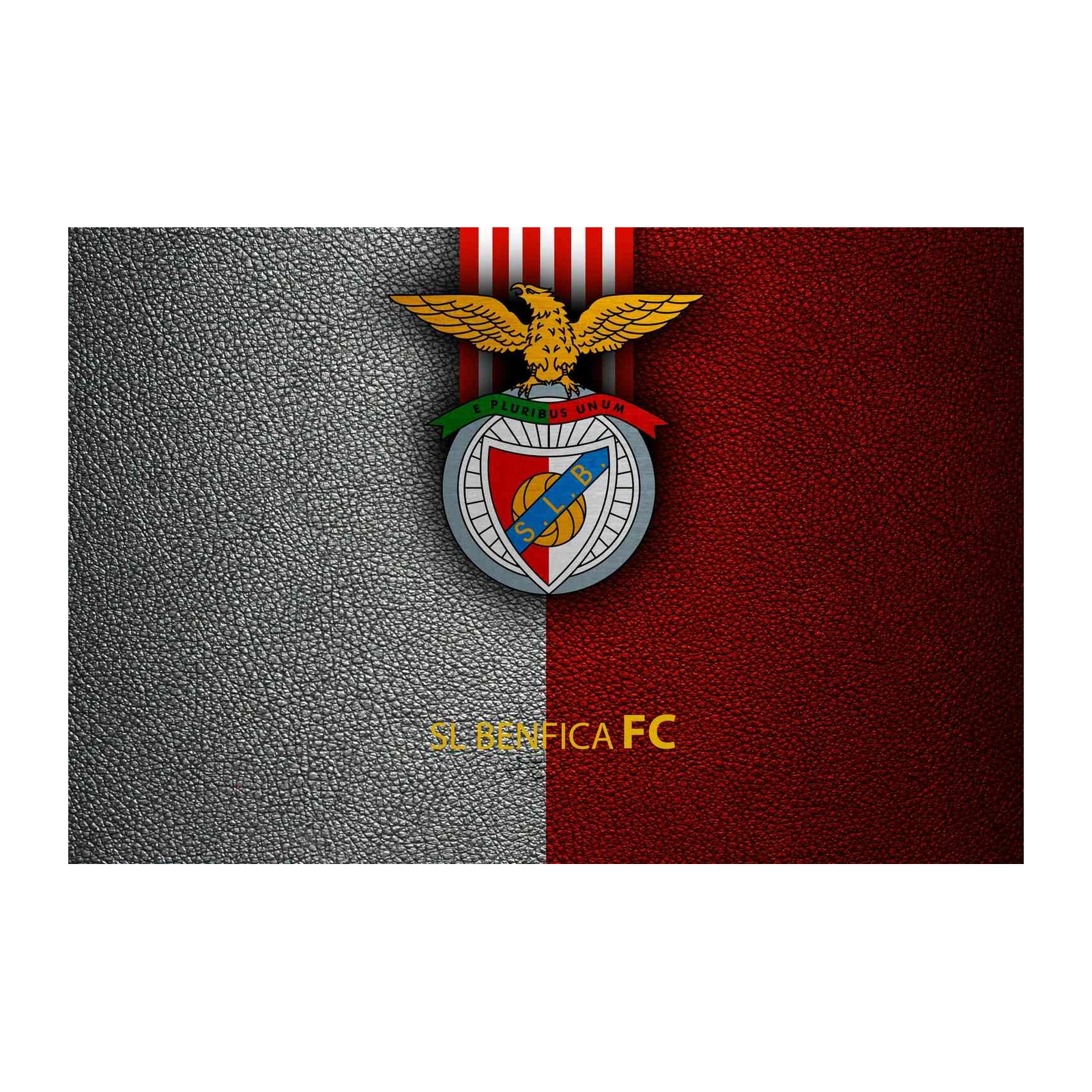 SL Benfica FC Logo Leather Textured Wall Art