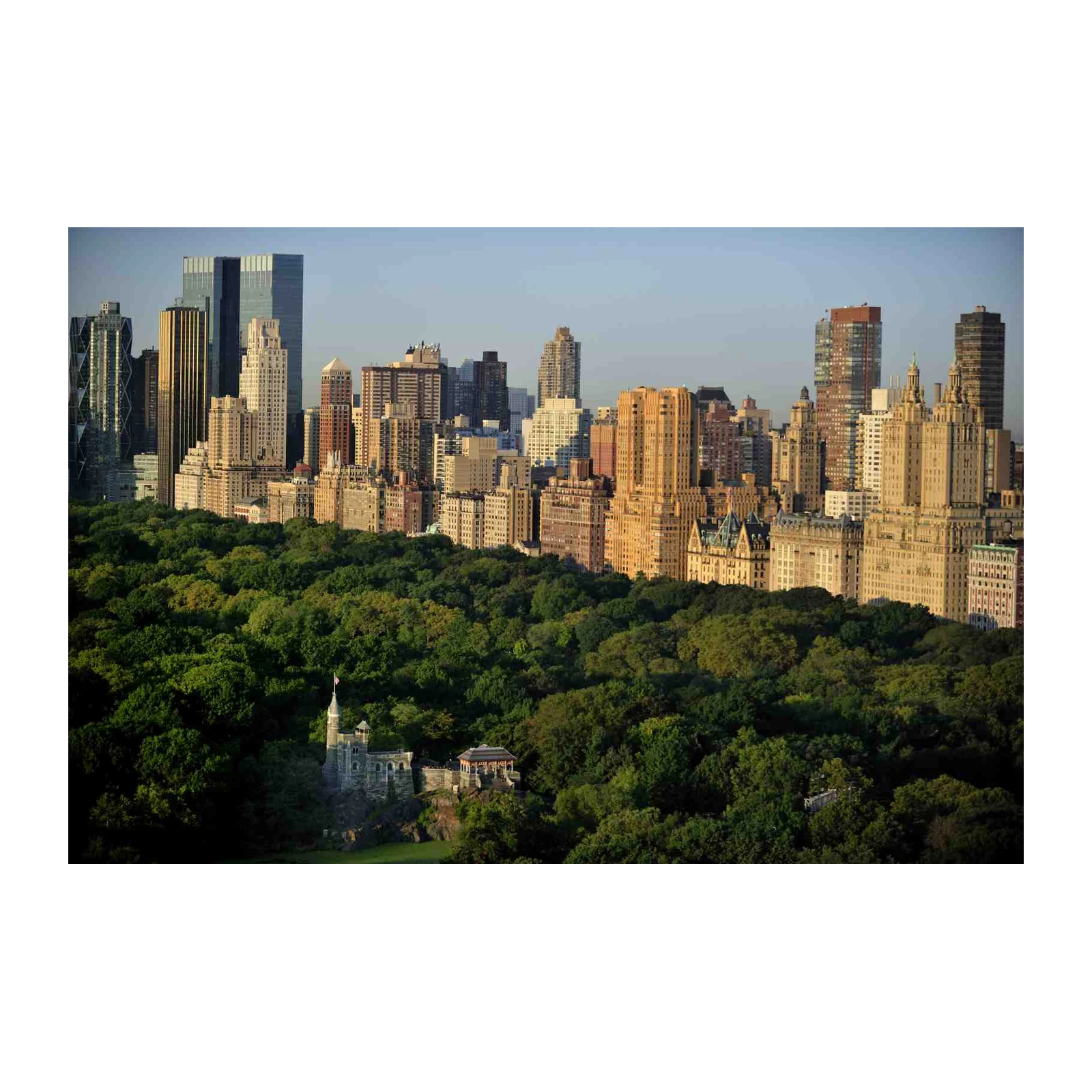 NYC Skyline & Central Park Vista Wall Art