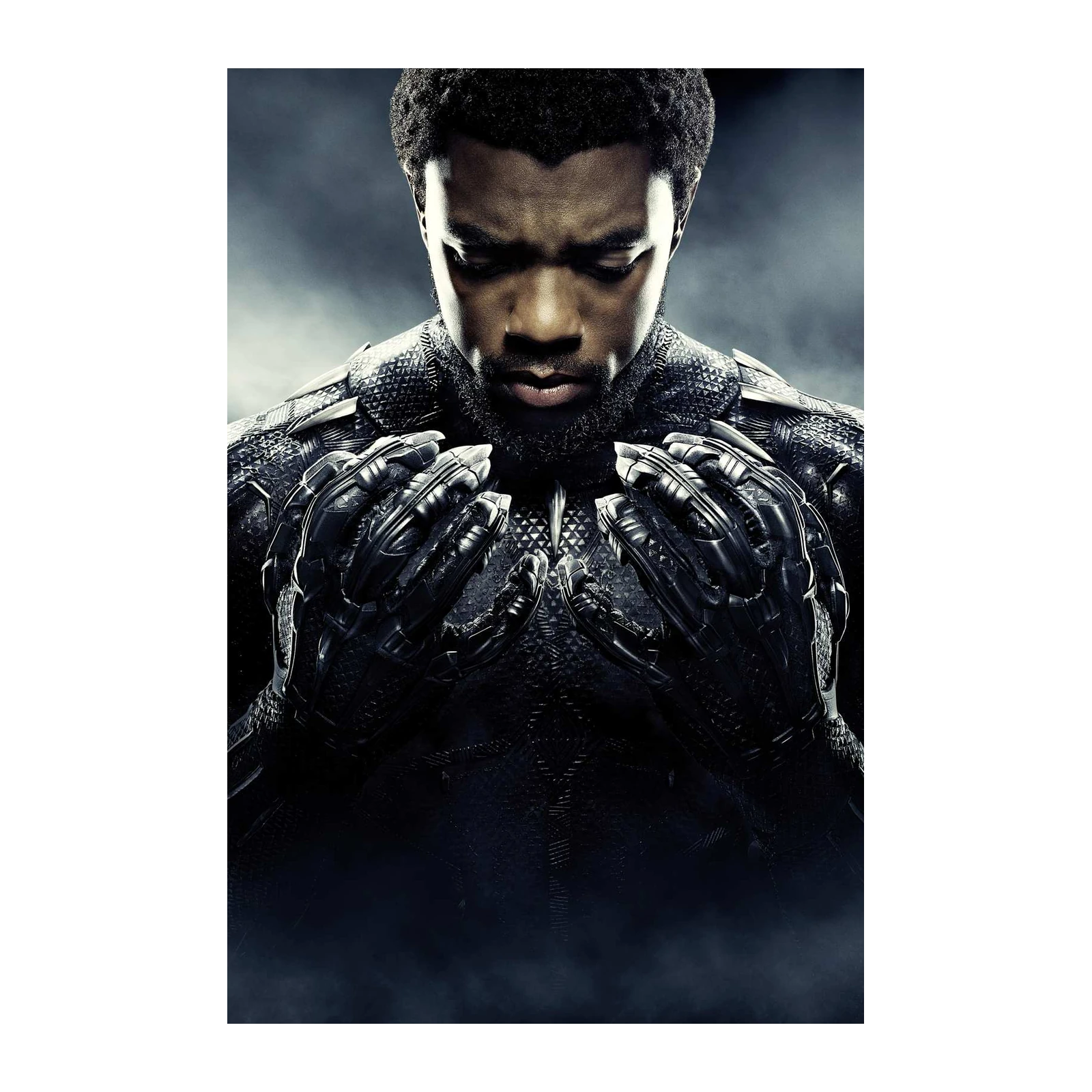 Black Panther Chadwick Boseman Wall Art