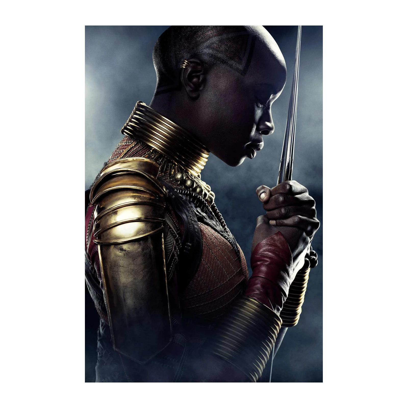 Okoye Warrior Portrait Wall Art