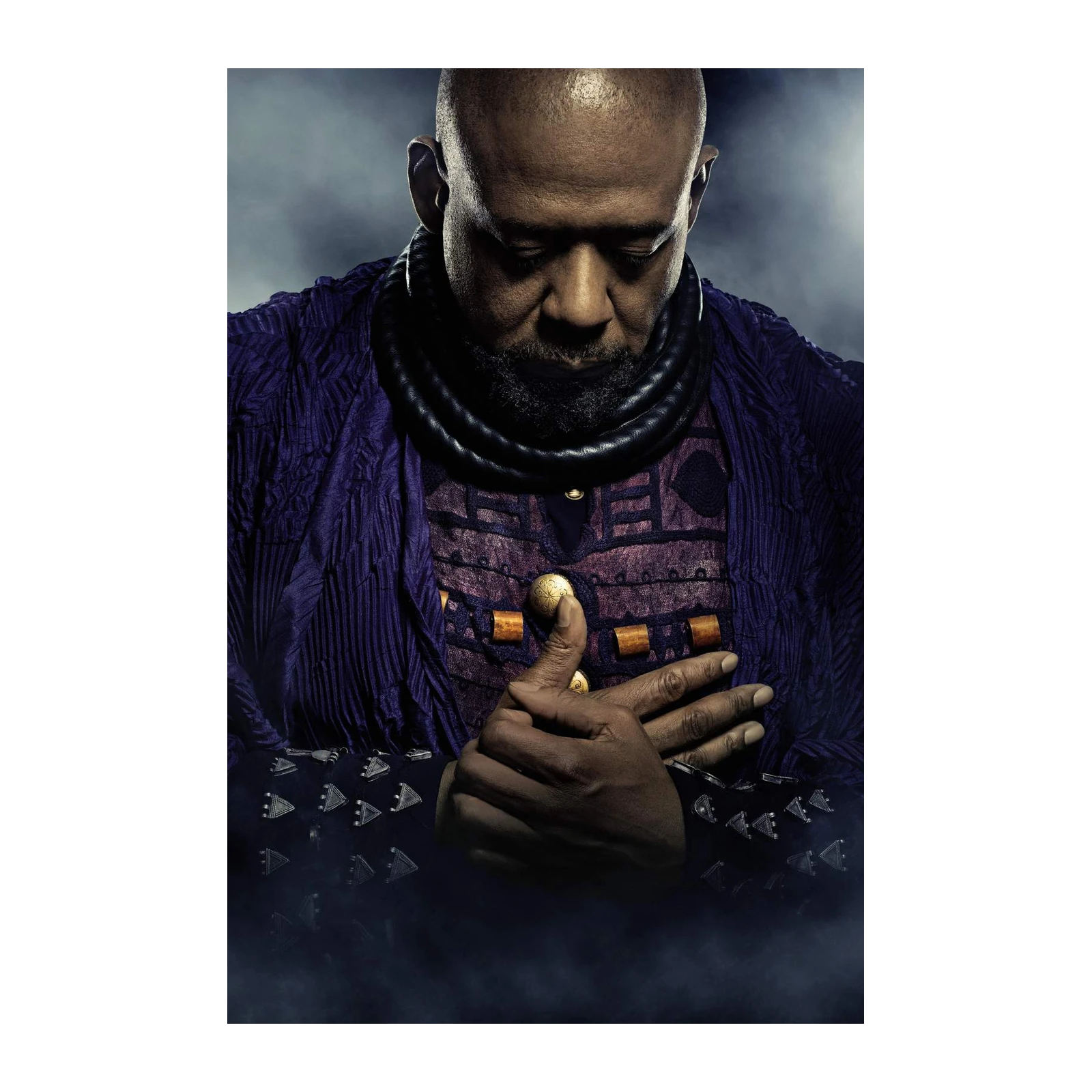 Regal Warrior Portrait Wall Art