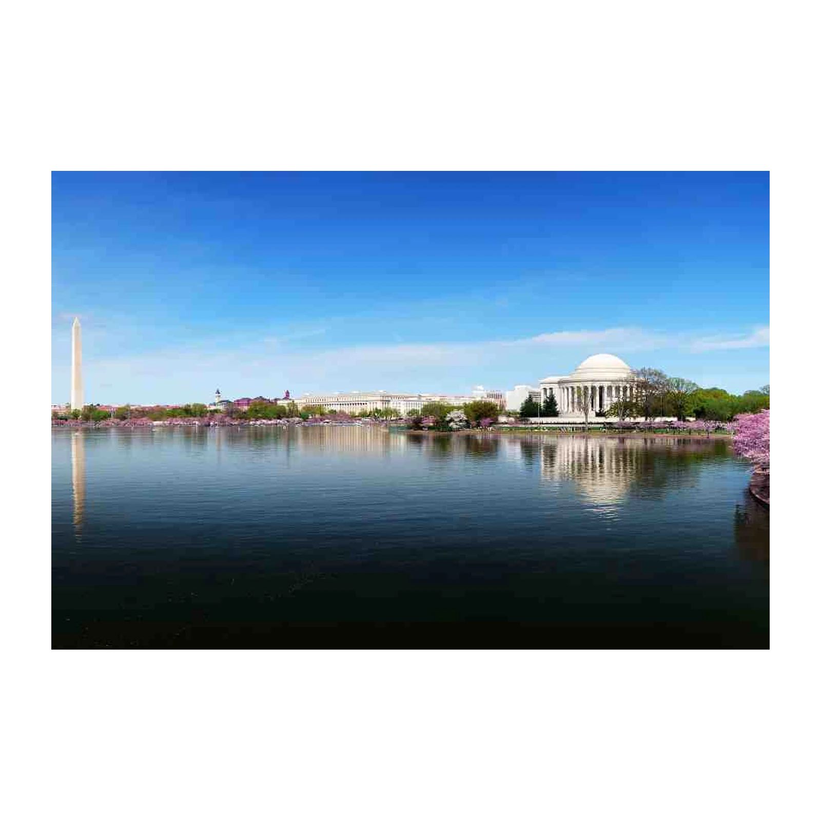 Washington DC Cherry Blossom Tidal Basin Wall Art