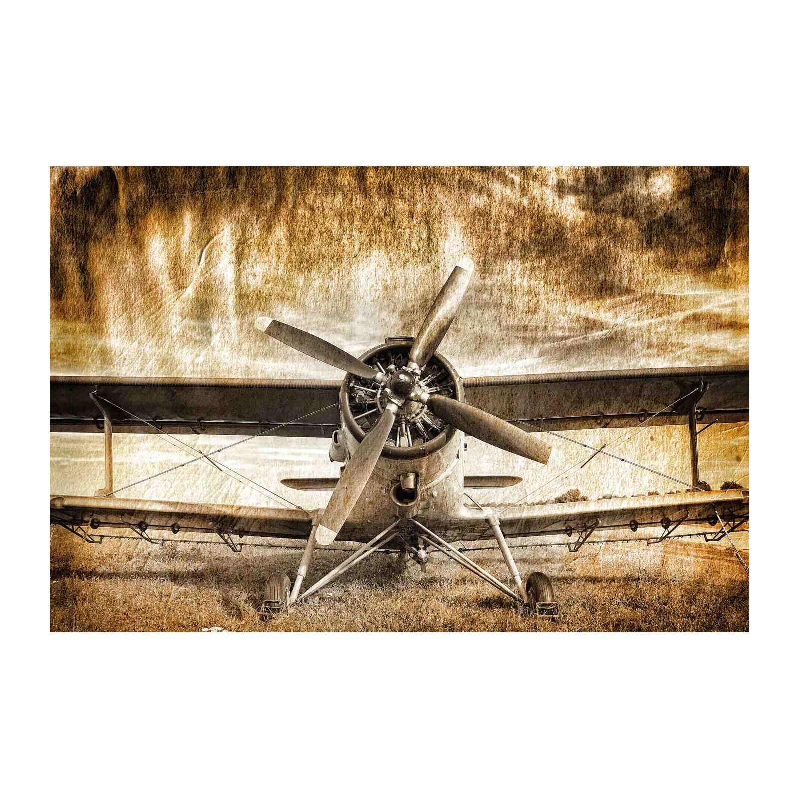 Vintage Biplane Adventure Wall Art