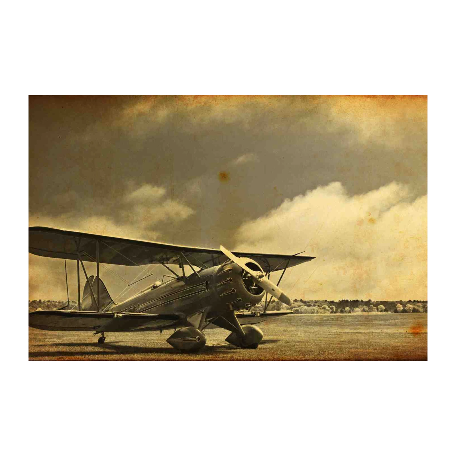 Vintage Biplane Aviation Art Wall Art