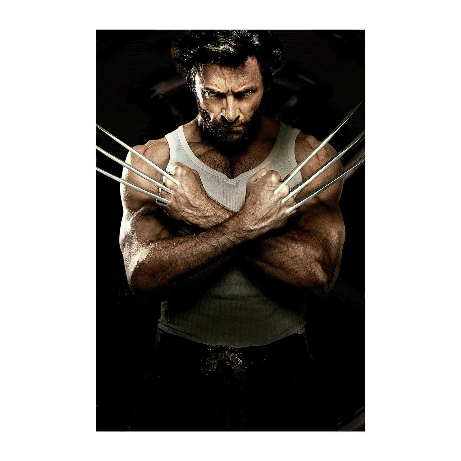 Wolverine "The Wolverine" Art Wall Art