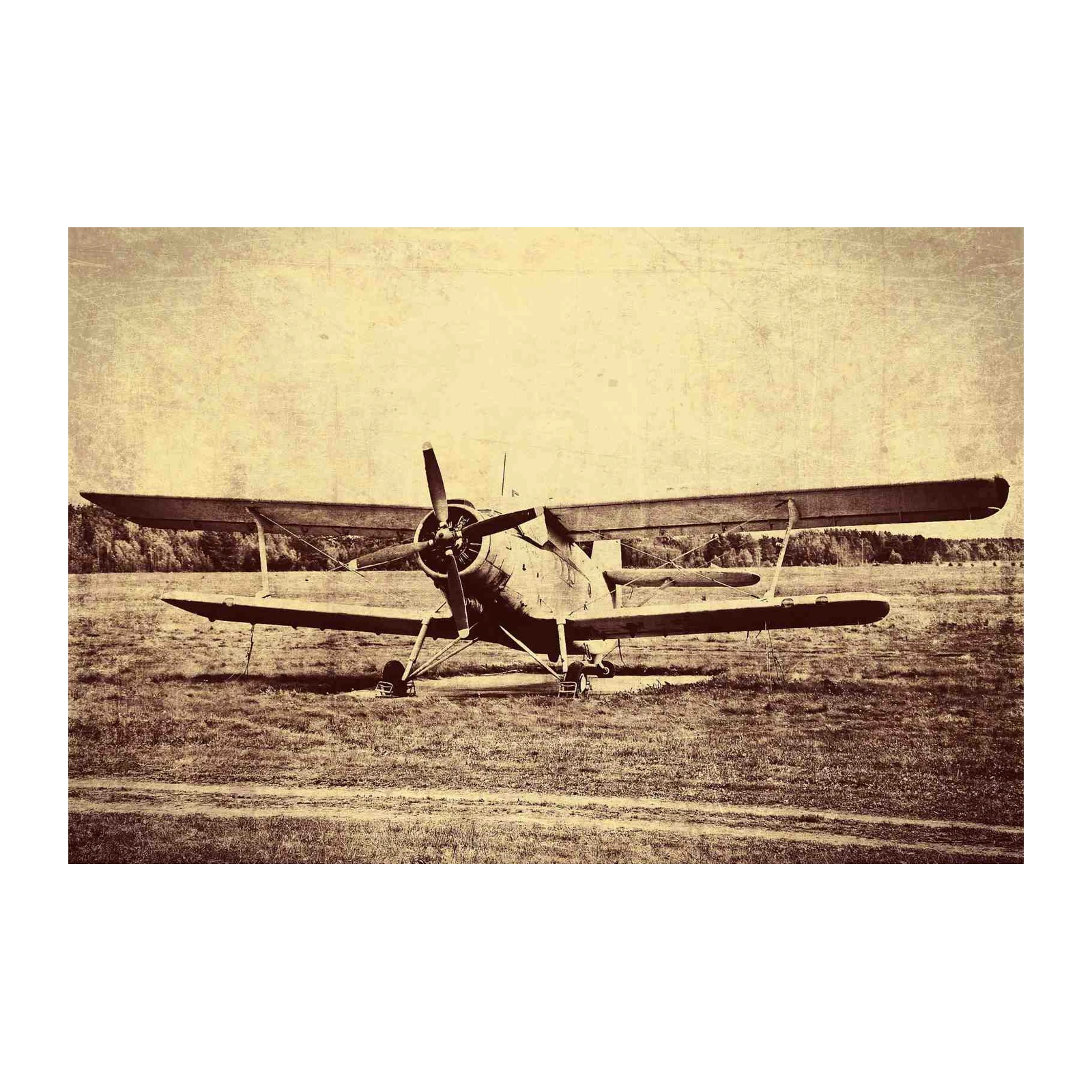Vintage Biplane Wall Art: Aviation Art