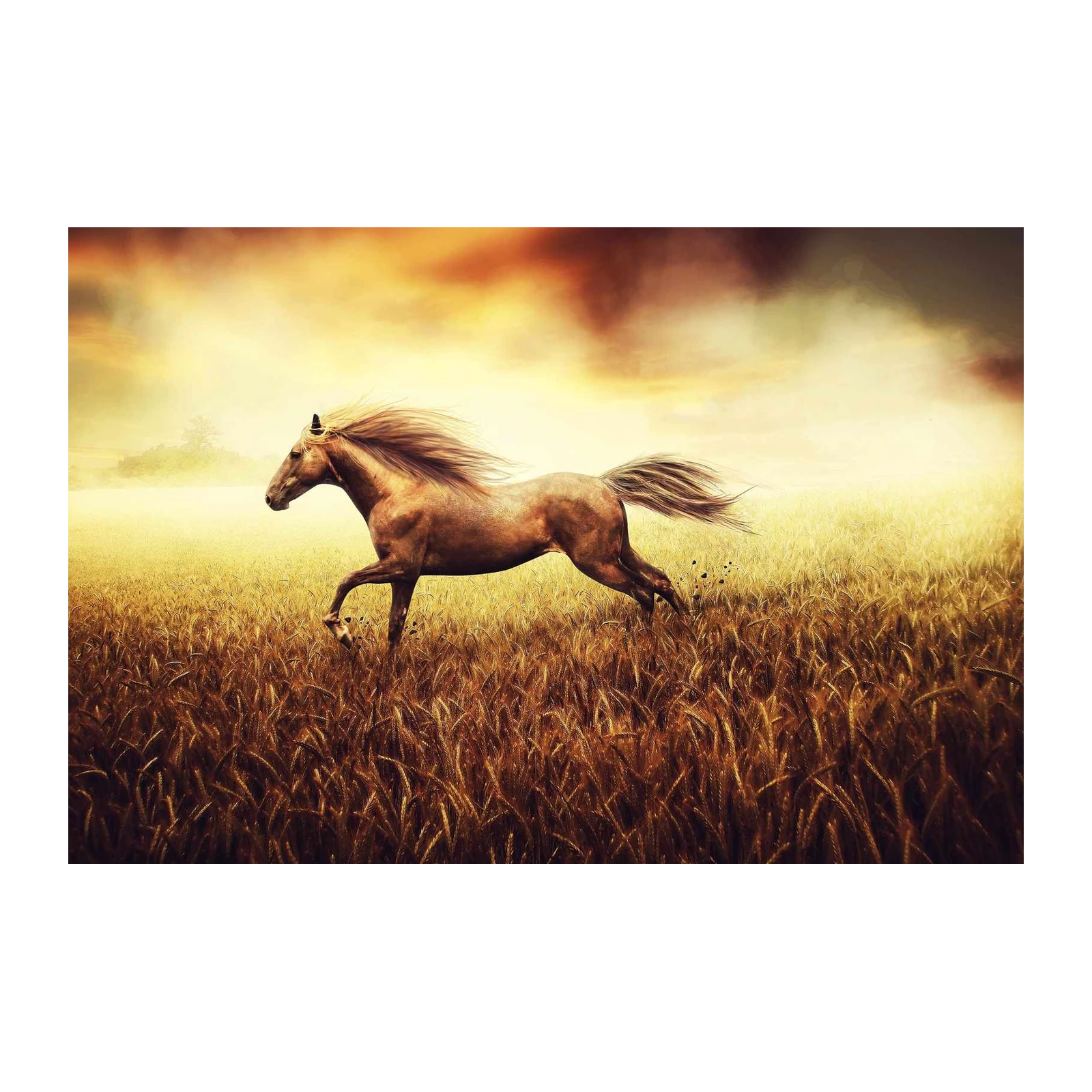 Majestic Horse Galloping Wheat Field Wall Art