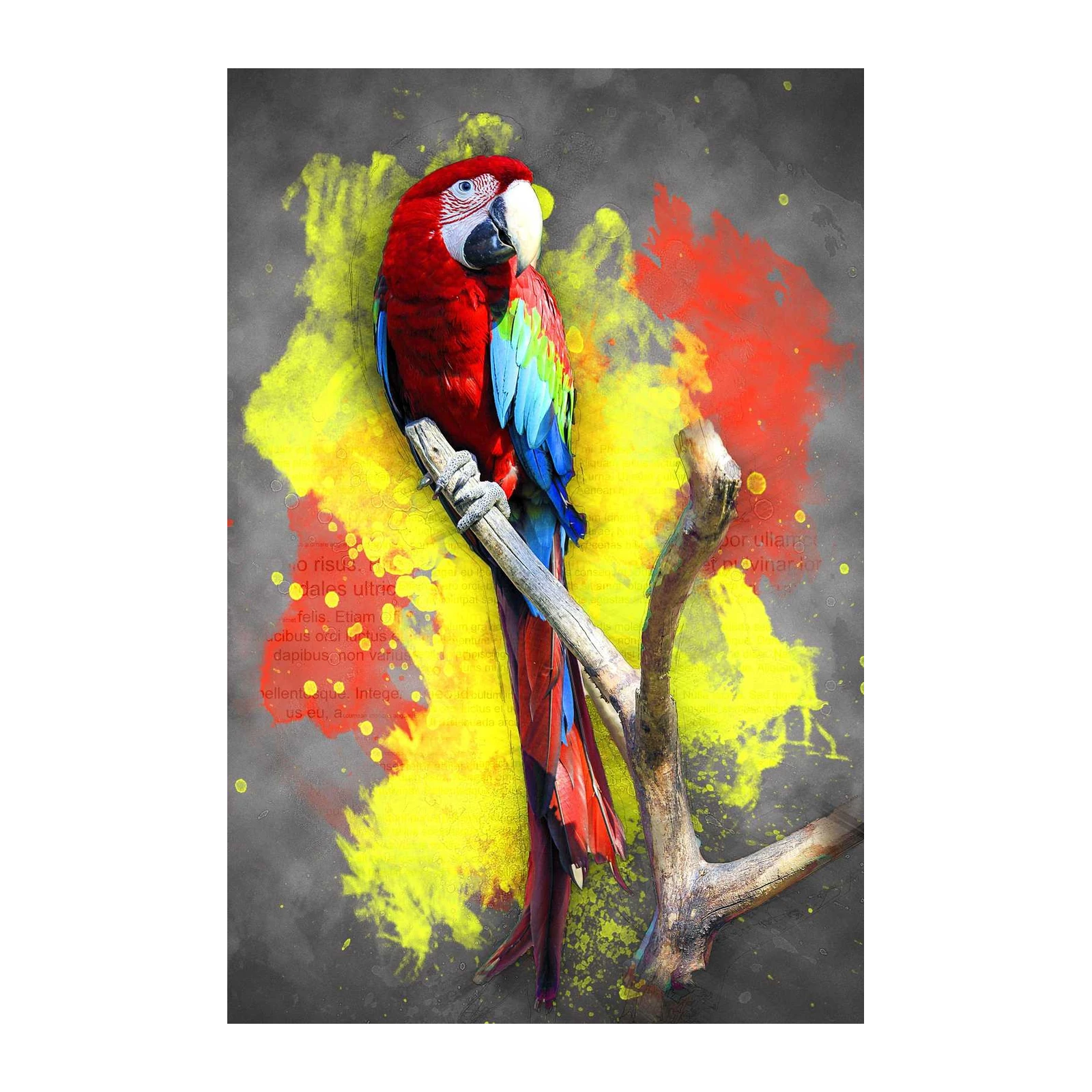 Vibrant Macaw Tropical Bird Wall Art Wall Art