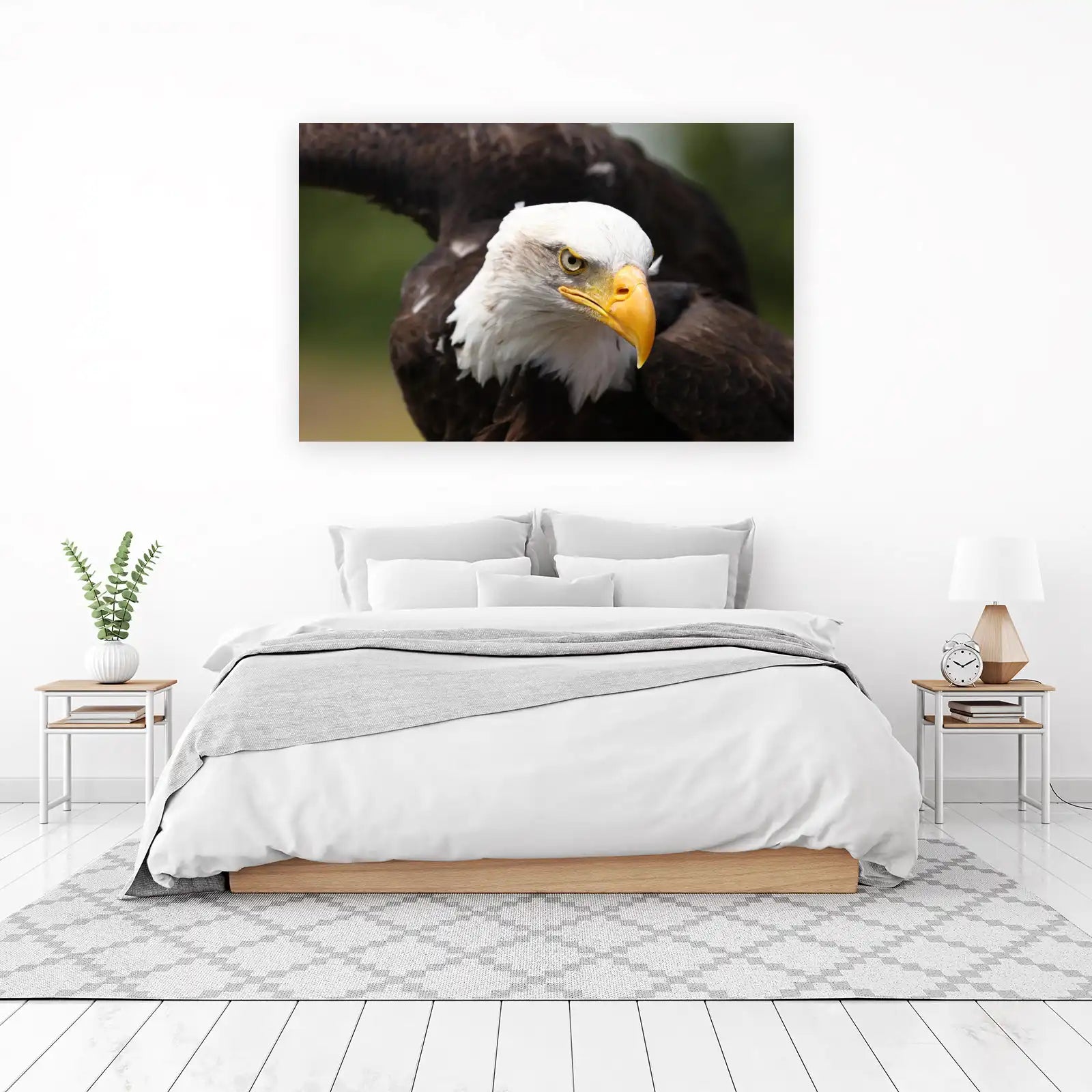 Majestic Bald Eagle Close-Up Wall Art