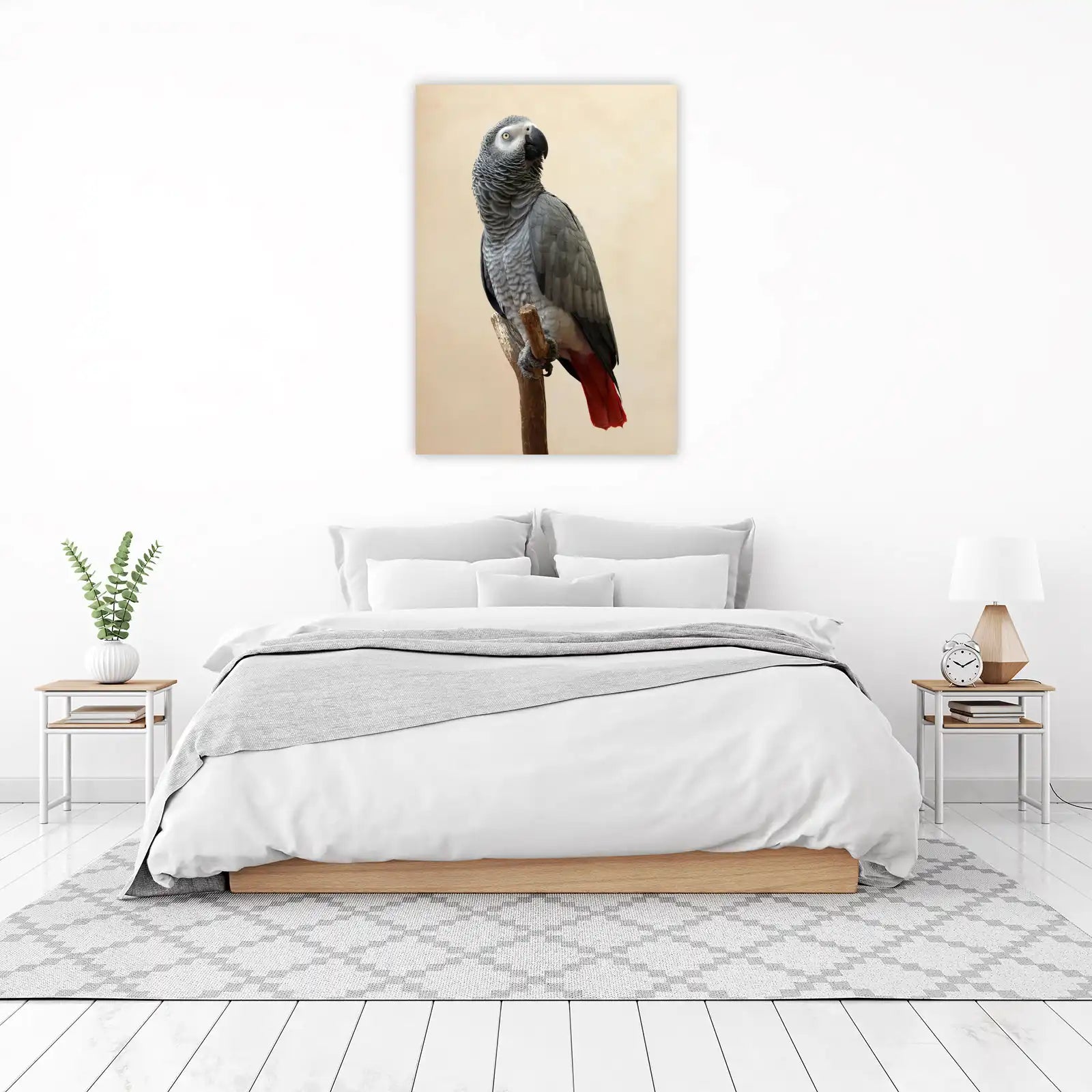 Majestic African Grey Parrot Wildlife Wall Art