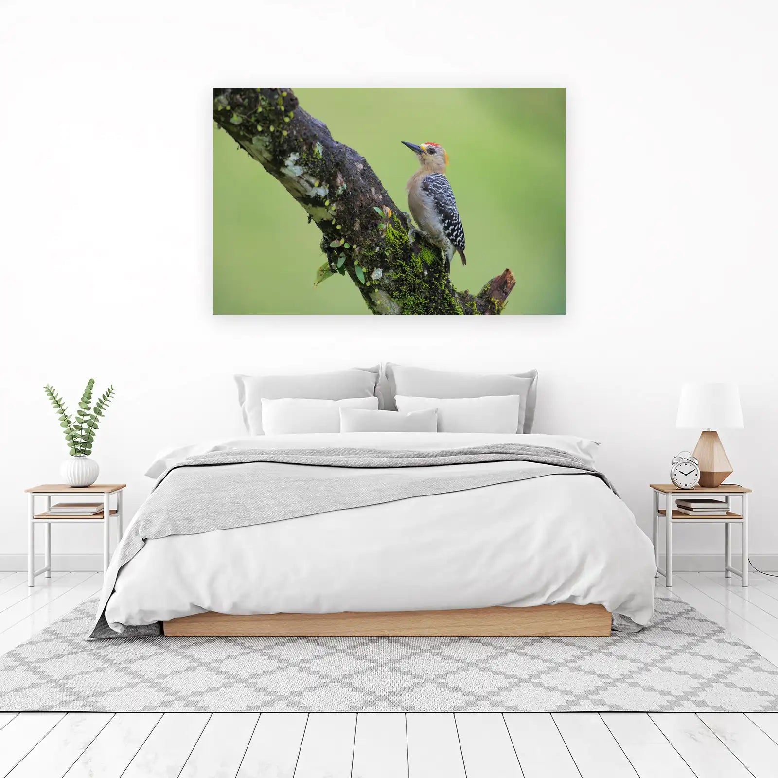 Vibrant Woodpecker on Mossy Branch Wall Art