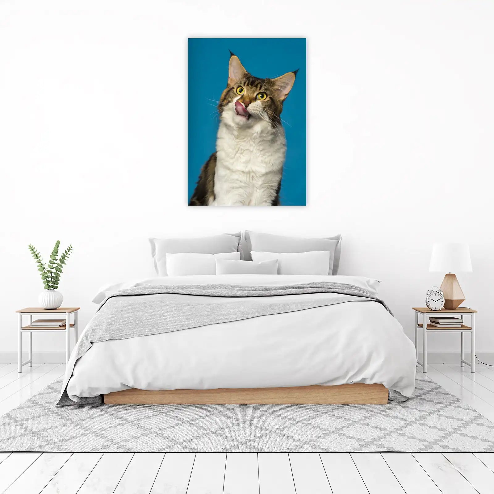 Playful Maine Coon Licking Lips Wall Art