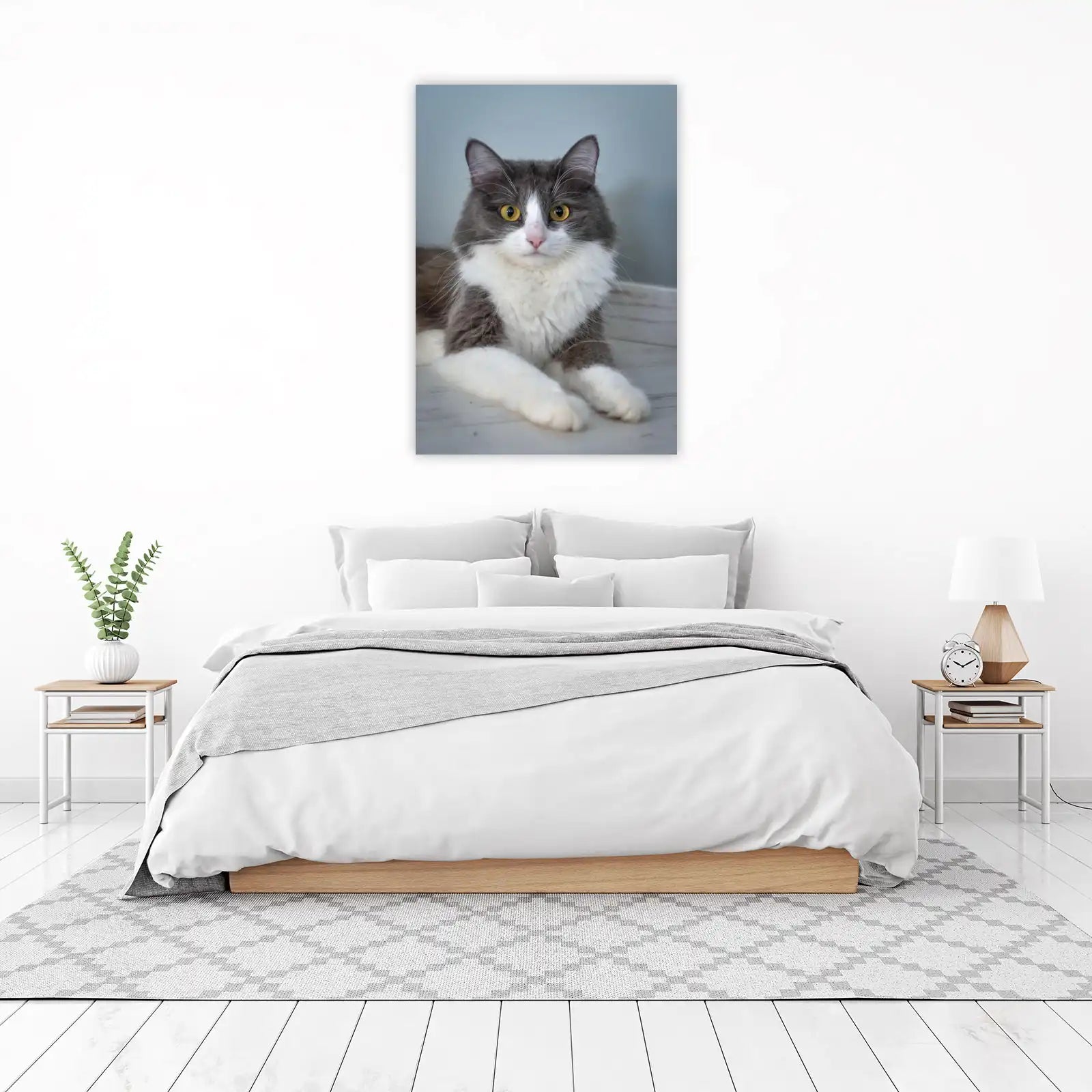 Majestic Grey & White Cat Portrait Wall Art