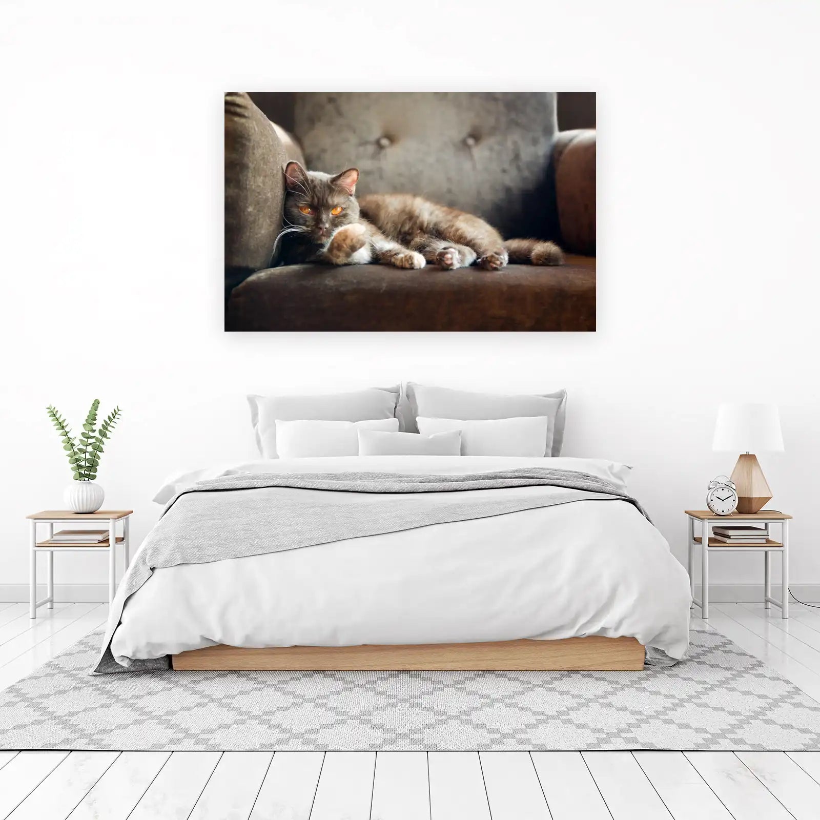 Luxurious Brown Cat Orange Eyes Wall Art