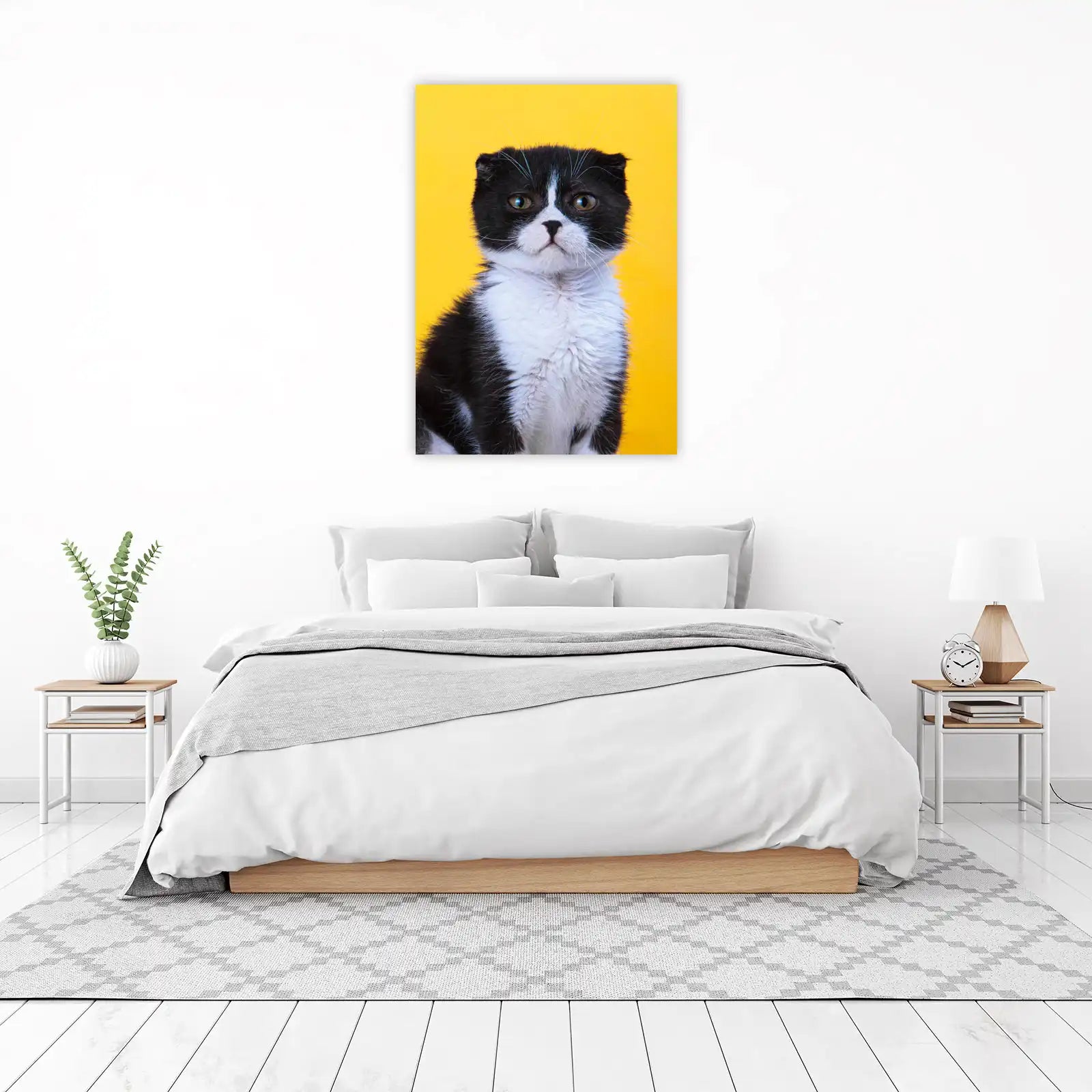 Cute Scottish Fold Cat Black & White Wall Art