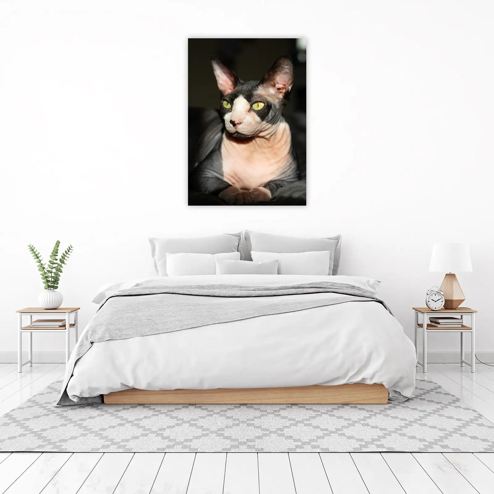 Striking Sphynx Cat Portrait Wall Art