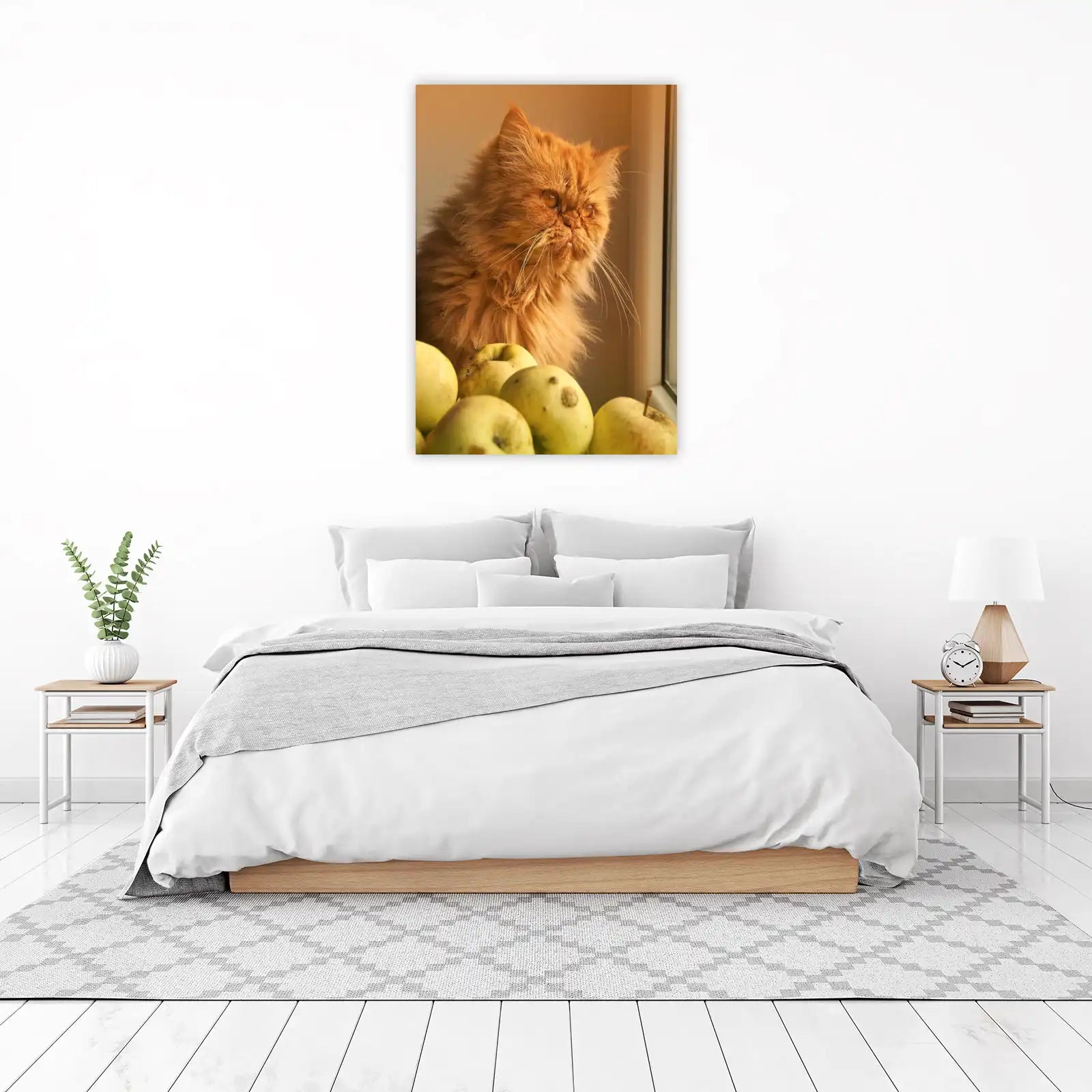 Fluffy Orange Cat & Apples Wall Art