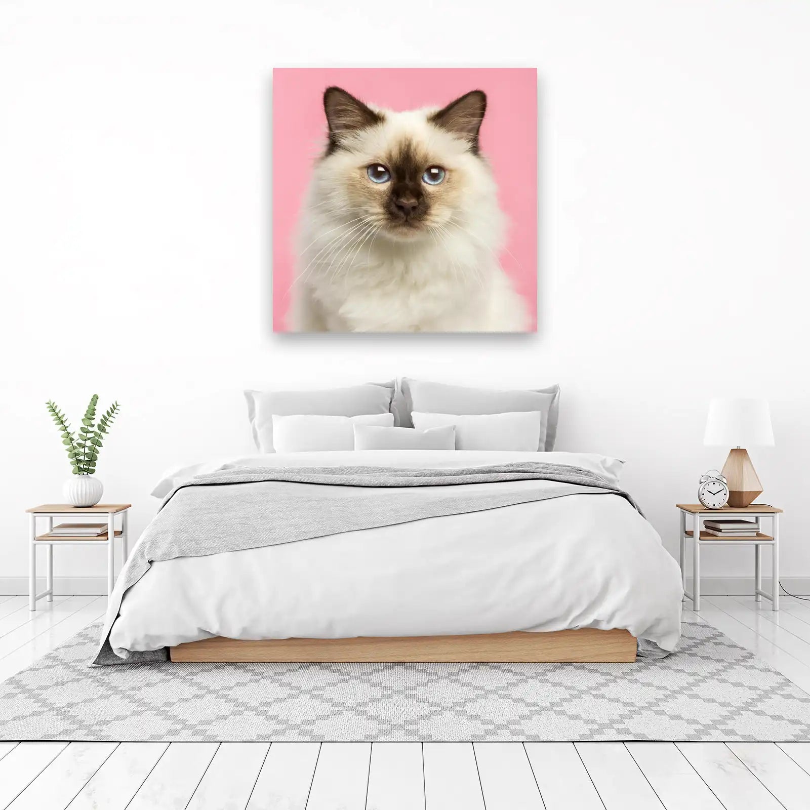 Enchanting Blue Eyes Birman Cat Wall Art