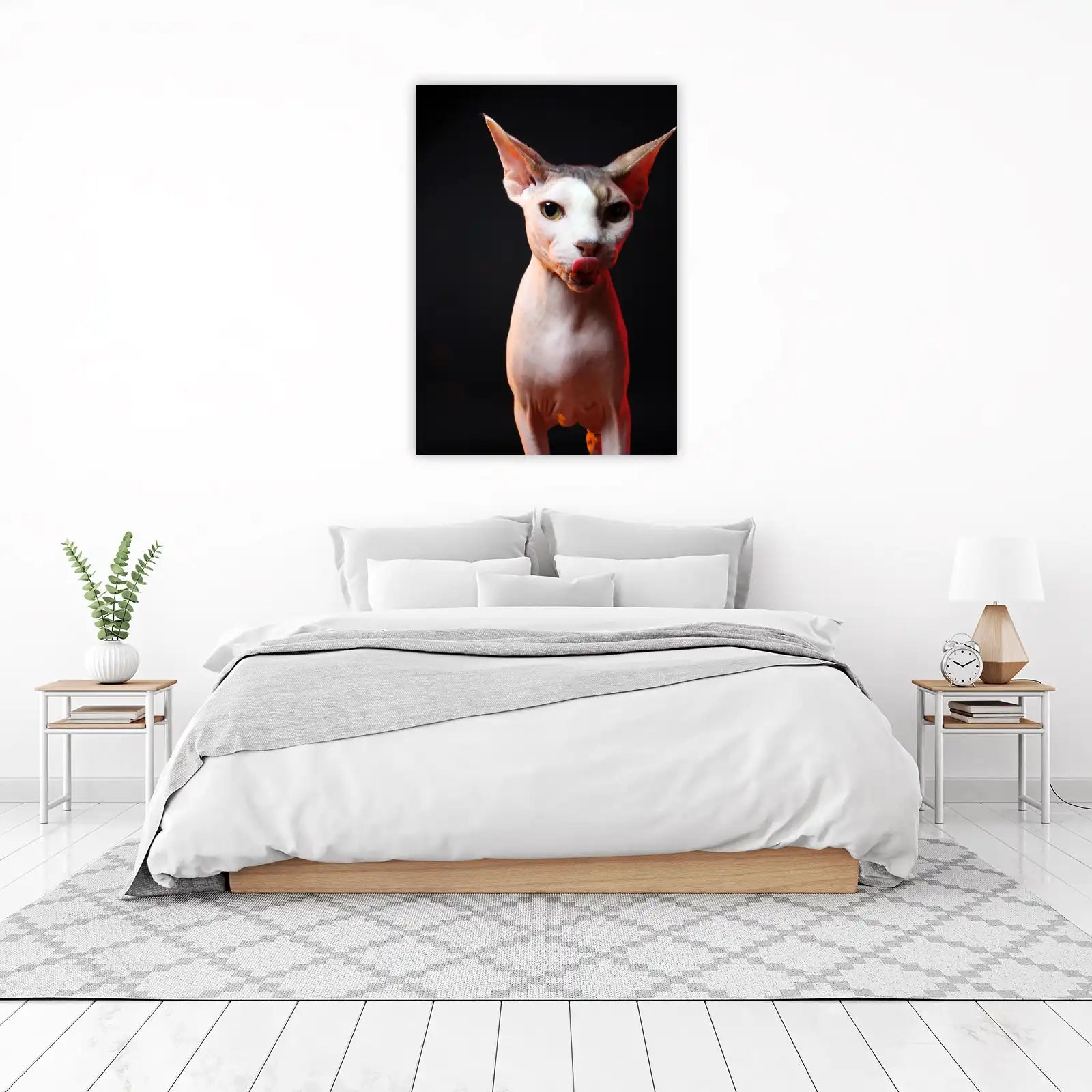 Charming Sphynx Cat Licking Lips Wall Art