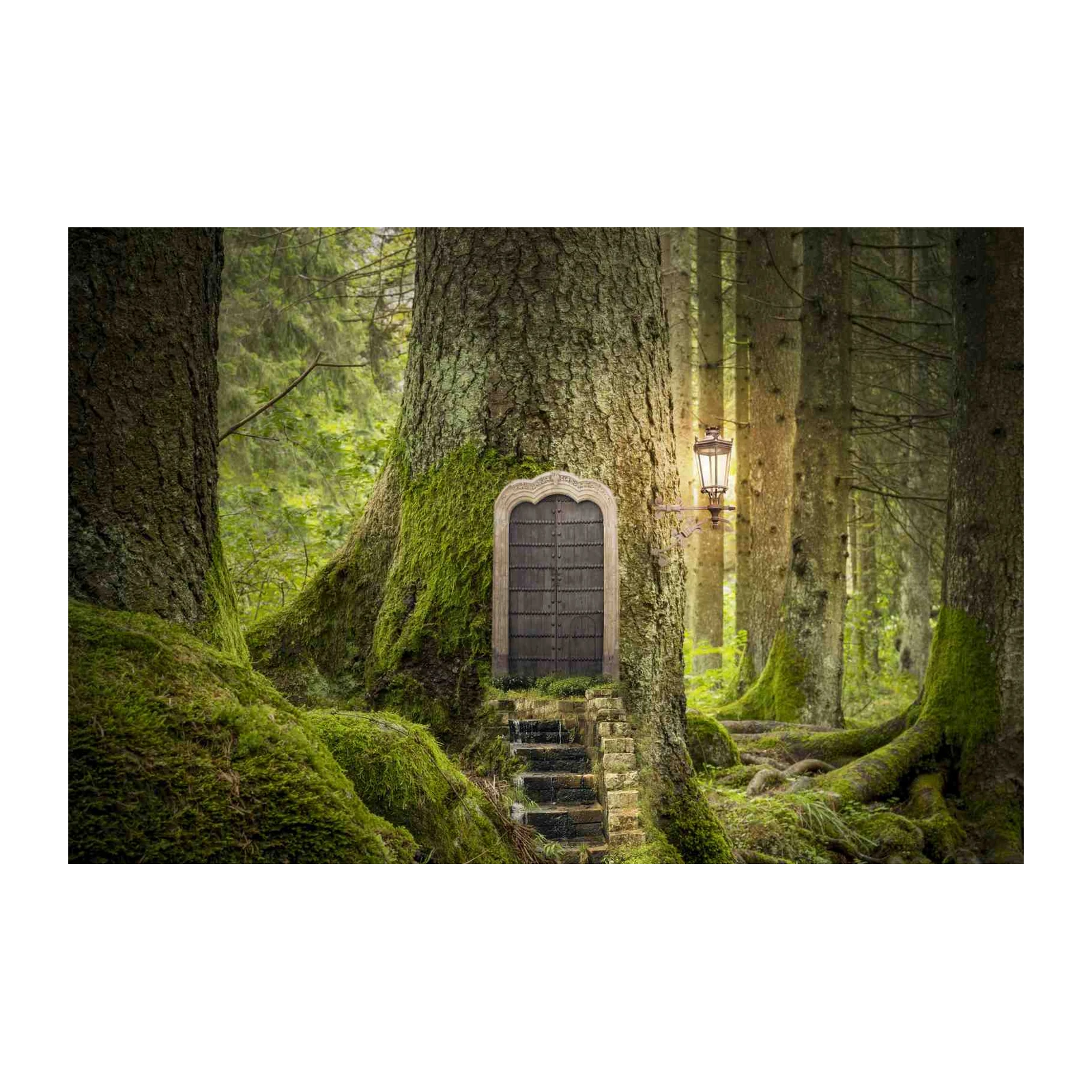 Enchanted Forest Doorway Wall Art