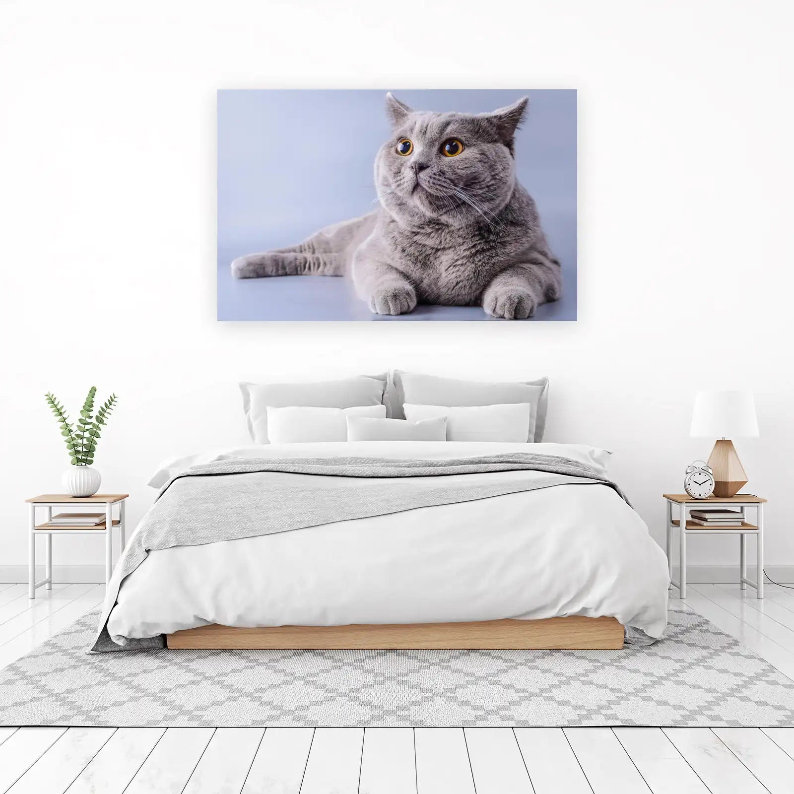 Charming British Shorthair Cat Wall Art