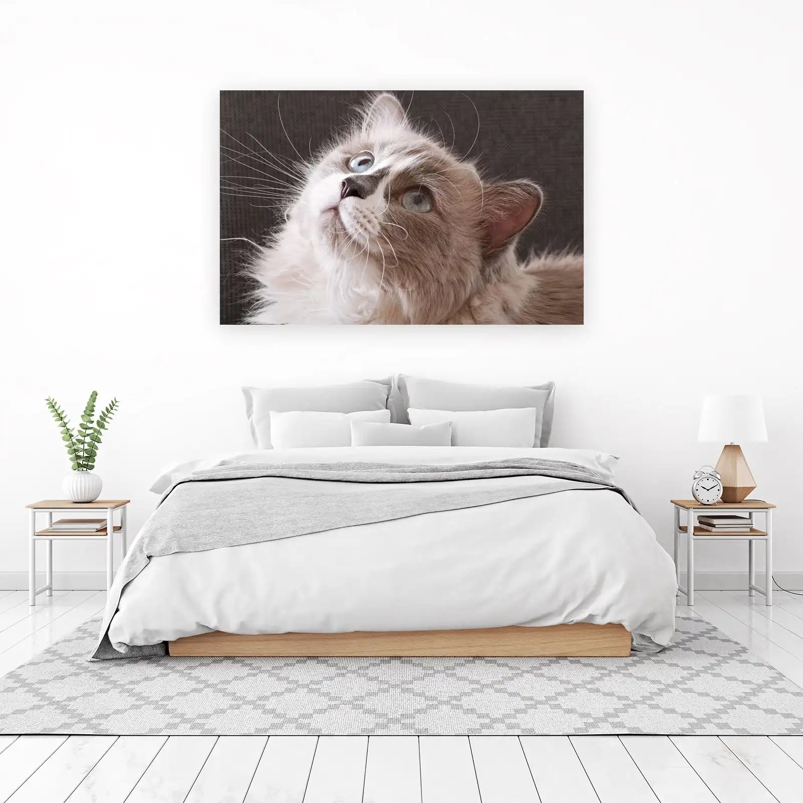 Captivating Cat Blue Eyes Wall Art