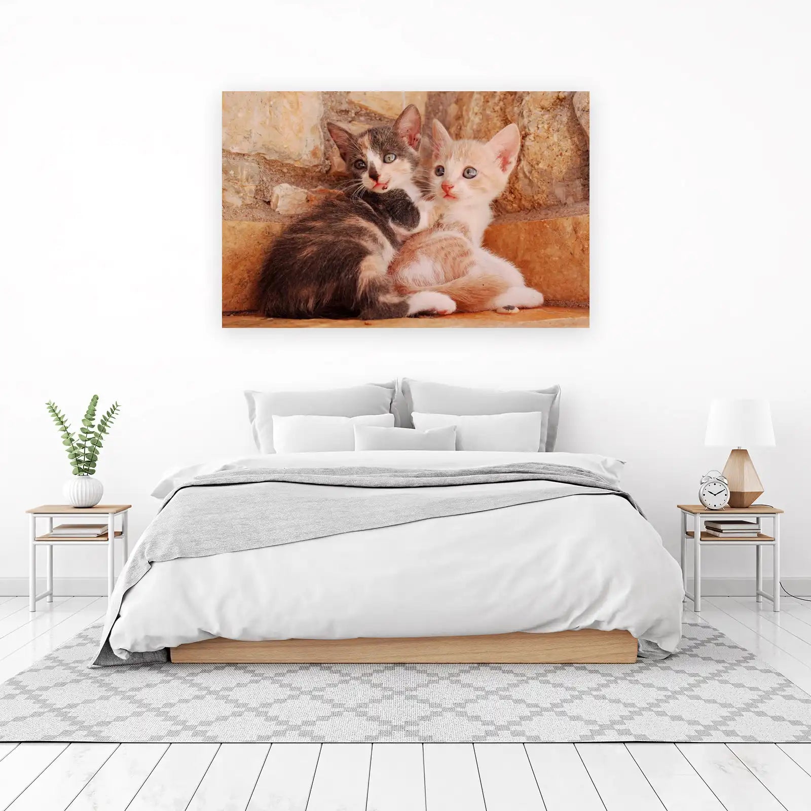 Adorable Kitten Duo Cute Pet Wall Art