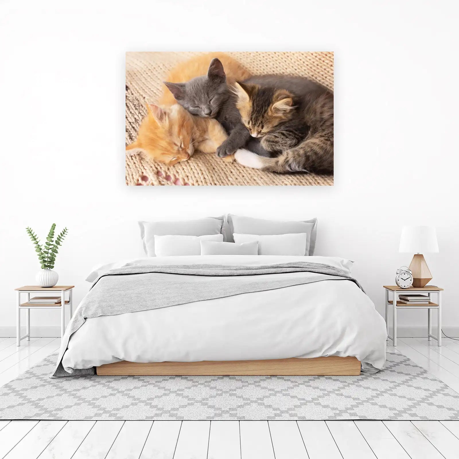 Adorable Sleeping Kittens Cozy Comfort Wall Art