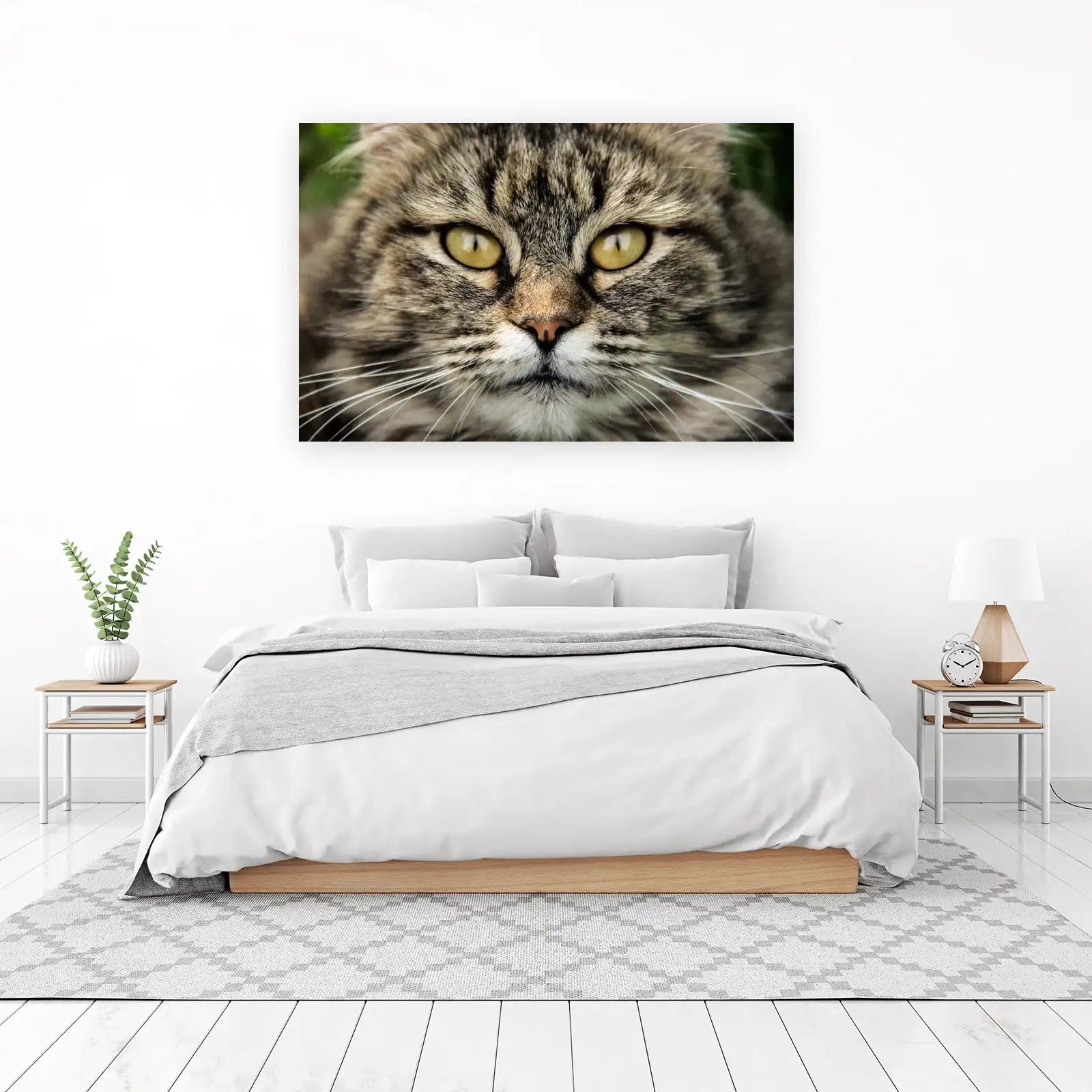 Captivating Tabby Cat Eyes Wall Art