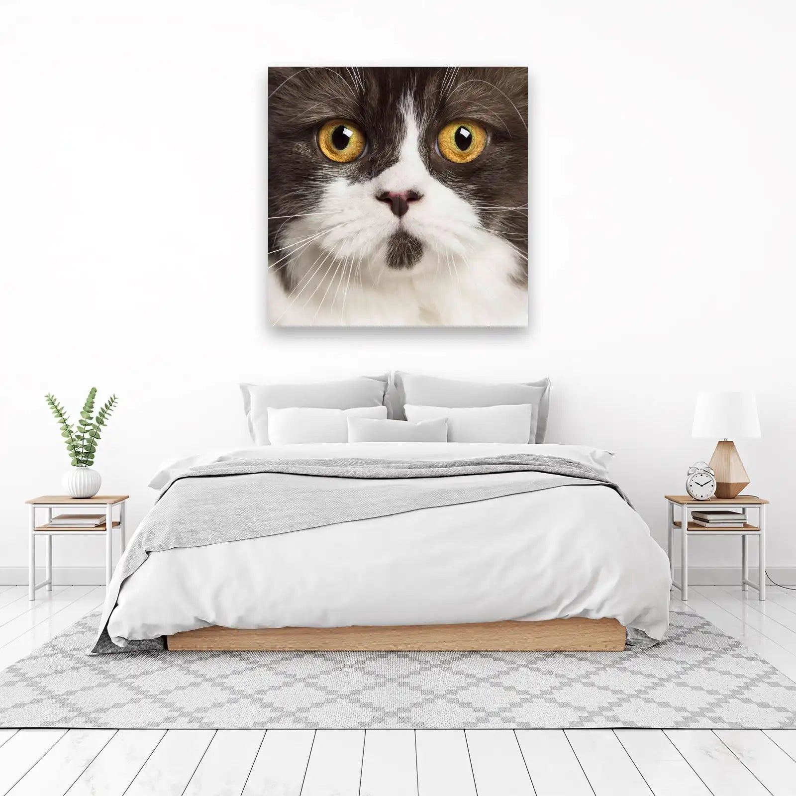 Majestic Cat Eyes & Whiskers Wall Art