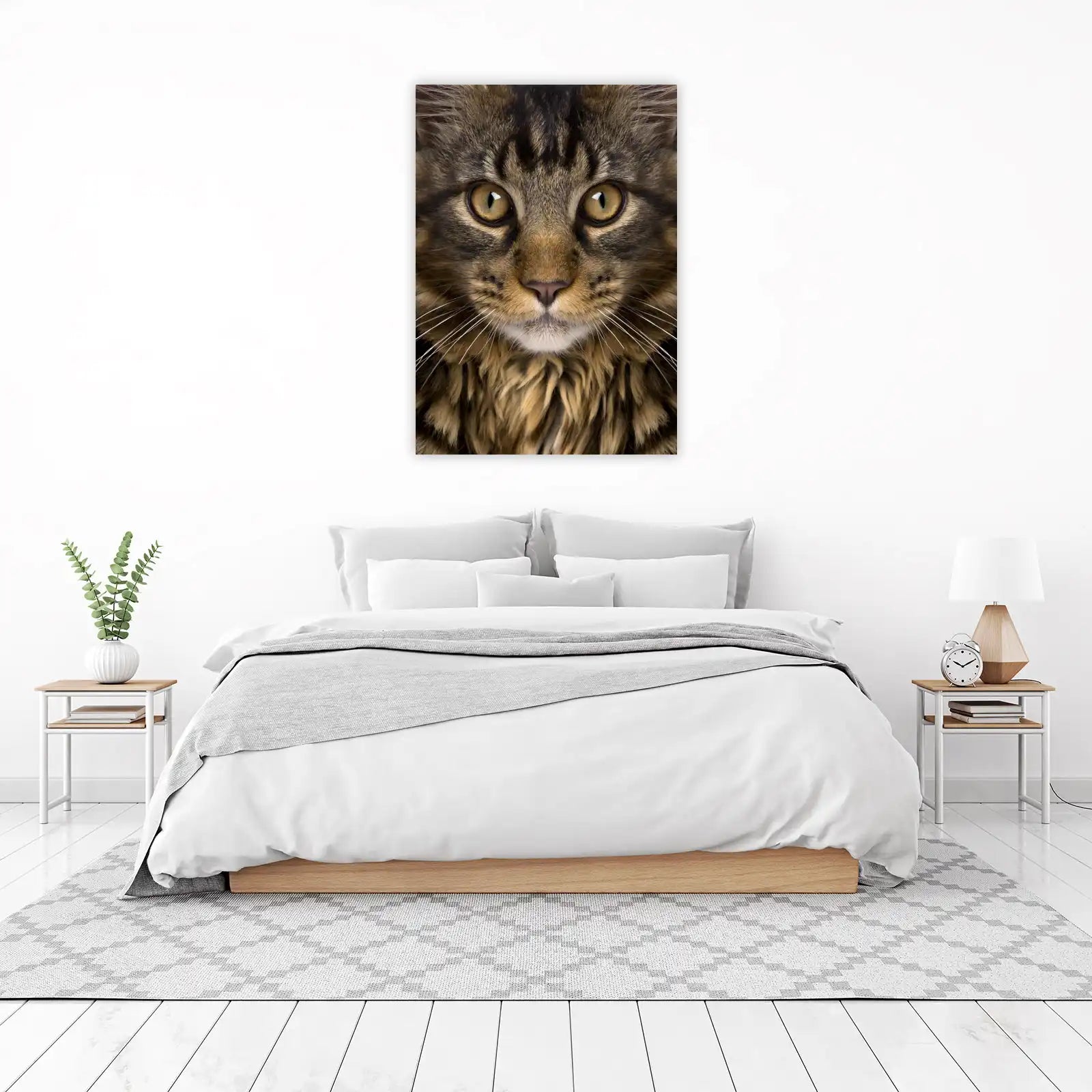 Majestic Maine Coon Cat Face Close-up Wall Art