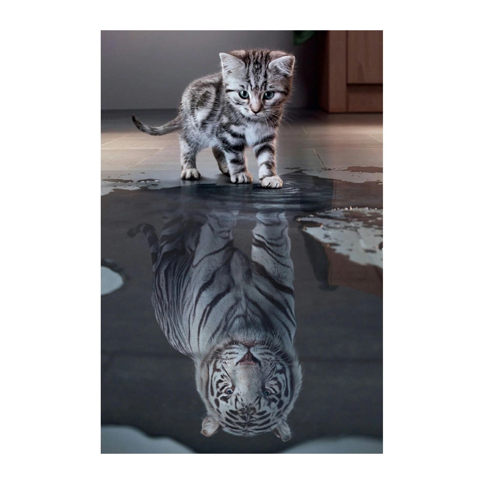 Kitten's Tiger Reflection Wall Art