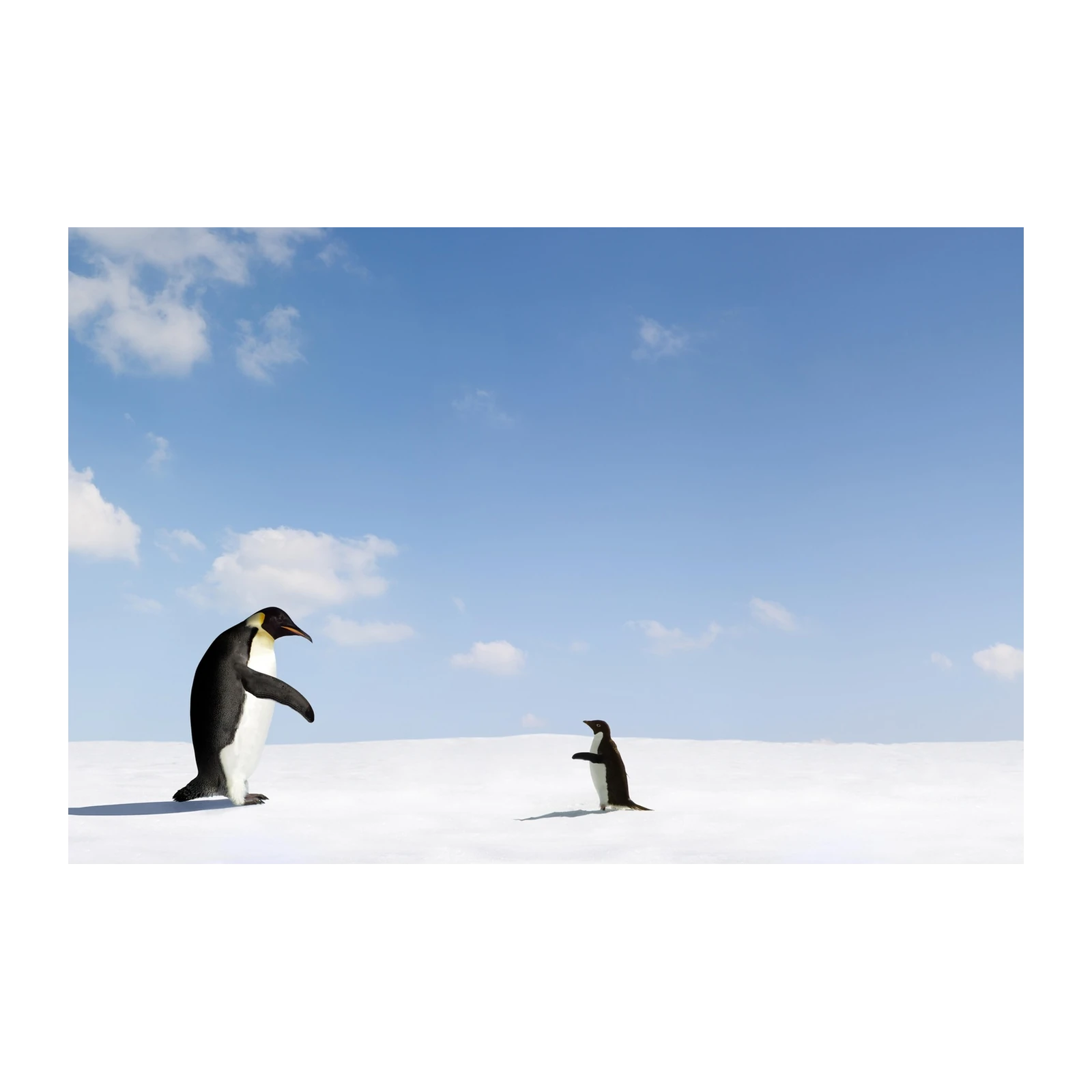 Penguin Duo Arctic Adventure Wall Art